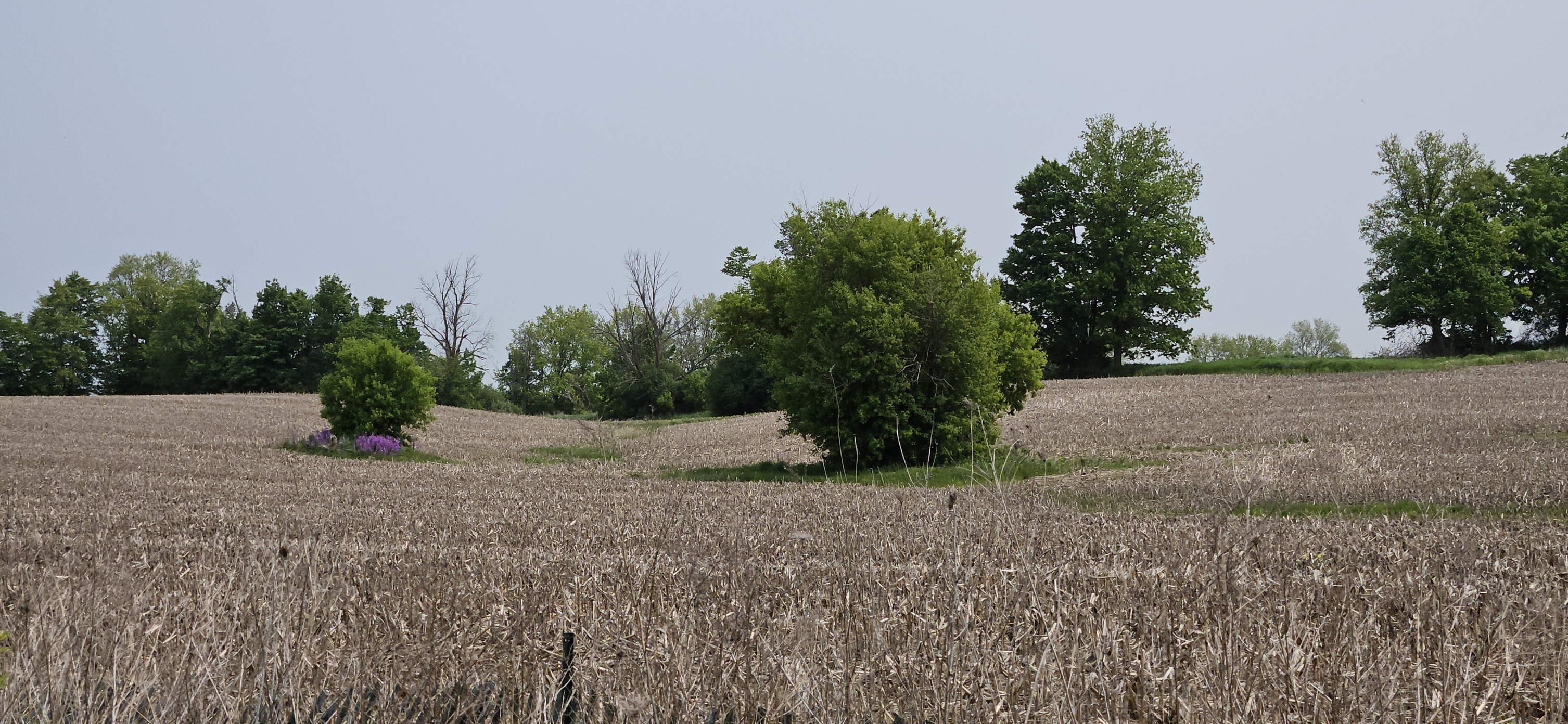 Oak Ridges Trail Association | Toronto ON