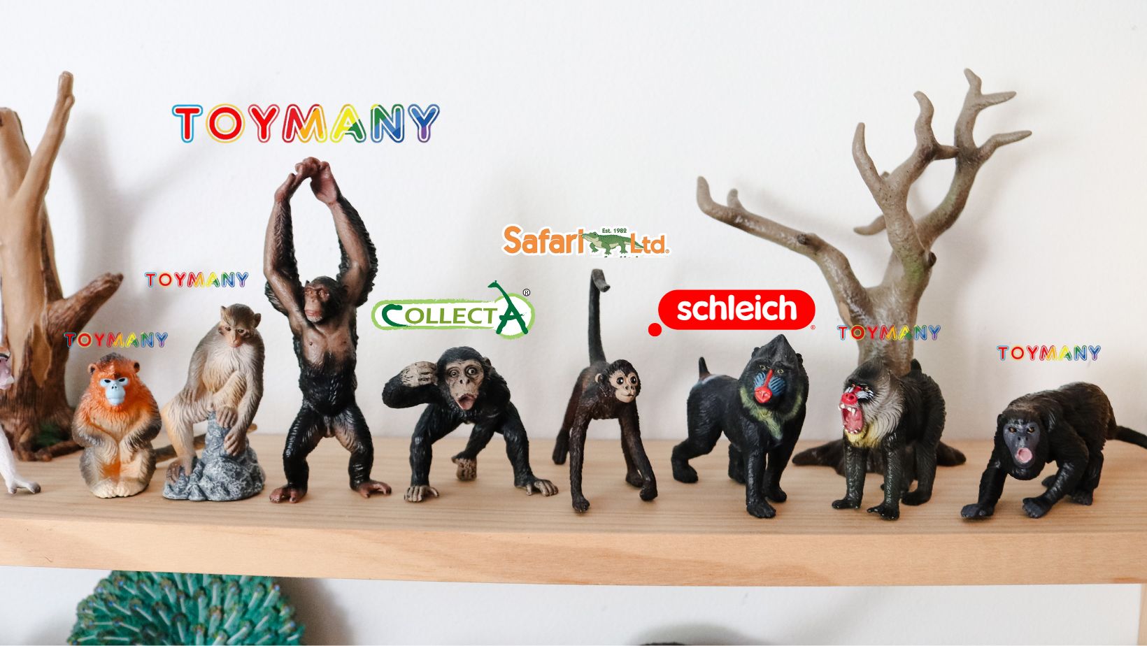 MiniZoo - The new Toymany primate figurines have arrived in Australia ...