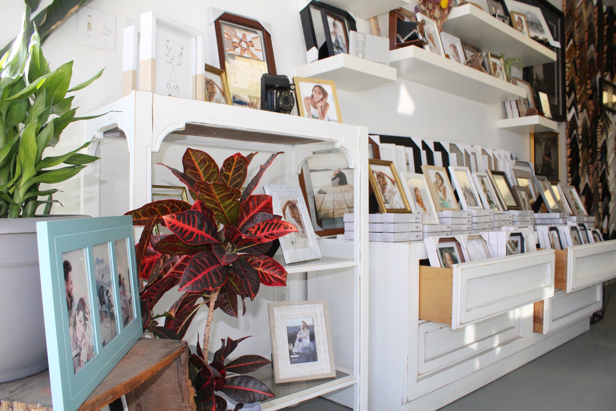 Kootenay Hall of Frames