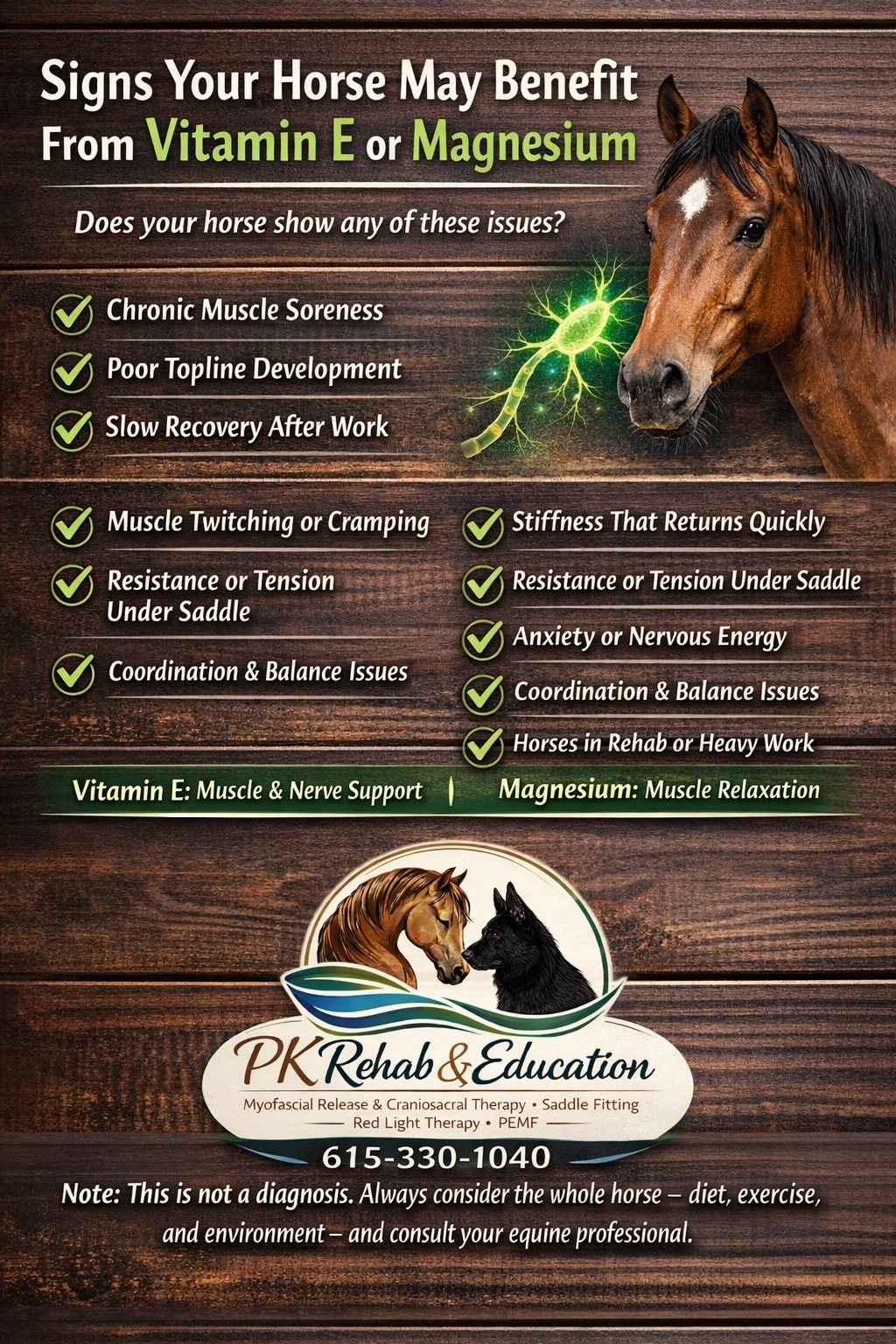 ✨ Meet Your Horse's New Daily Essential ✨ 𝐌𝐠 + 𝐍𝐚𝐭𝐮𝐫𝐚𝐥 𝐄 𝟒,𝟎𝟎𝟎™ delivers a powerful combination of Magnesium and Natural Vitamin E, plus Vitamin C, zinc, copper & vitamin B6 to