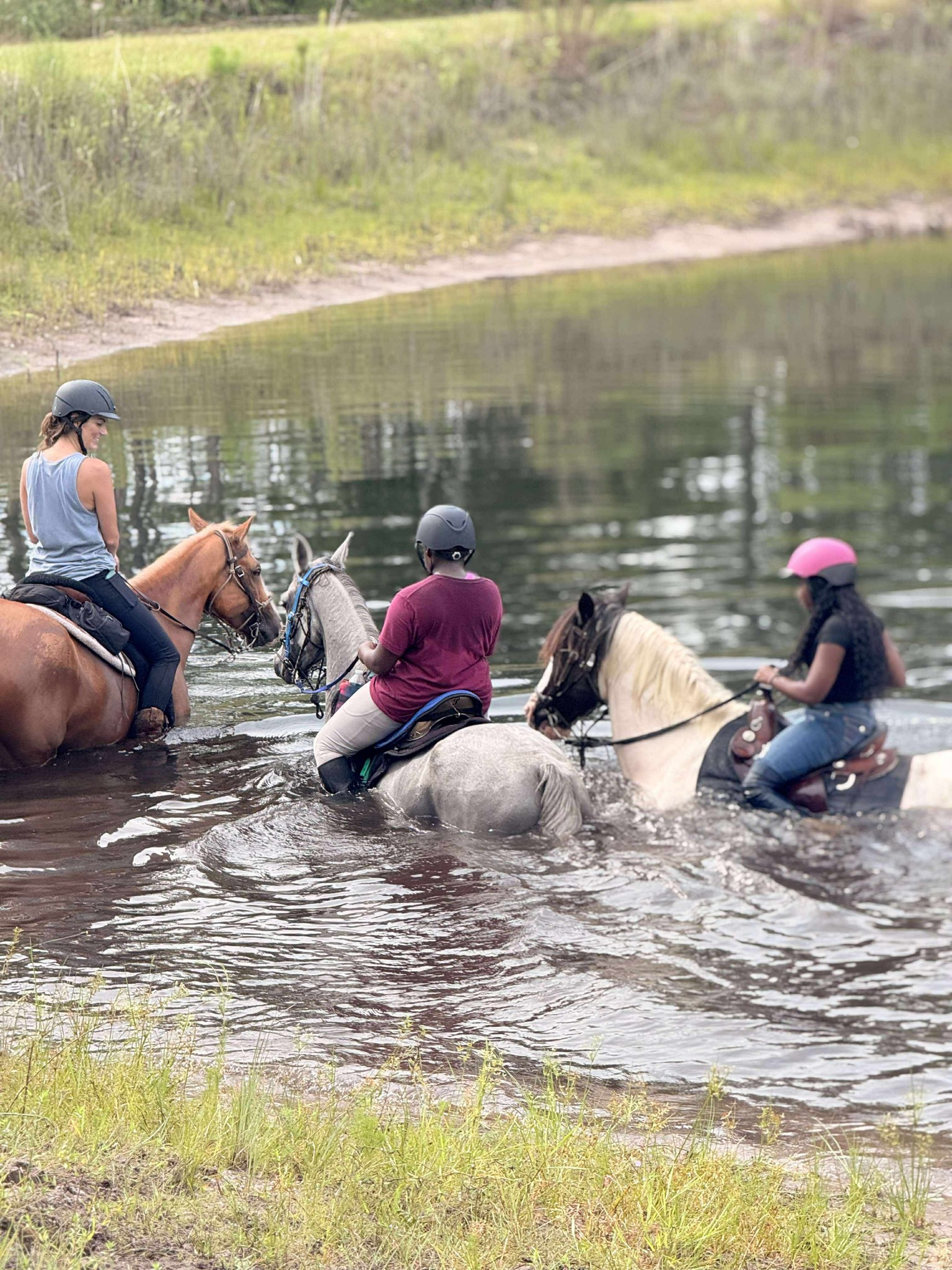 King’s Riding & Training | Green Cove Springs FL