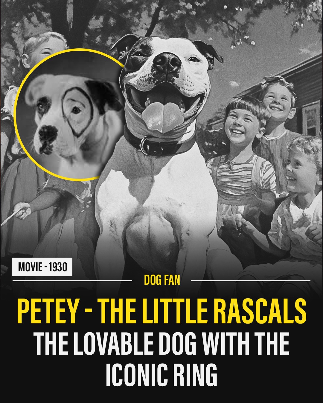 Paws - 🐶💫 Remember Petey from The Little Rascals? That playful pup with ...