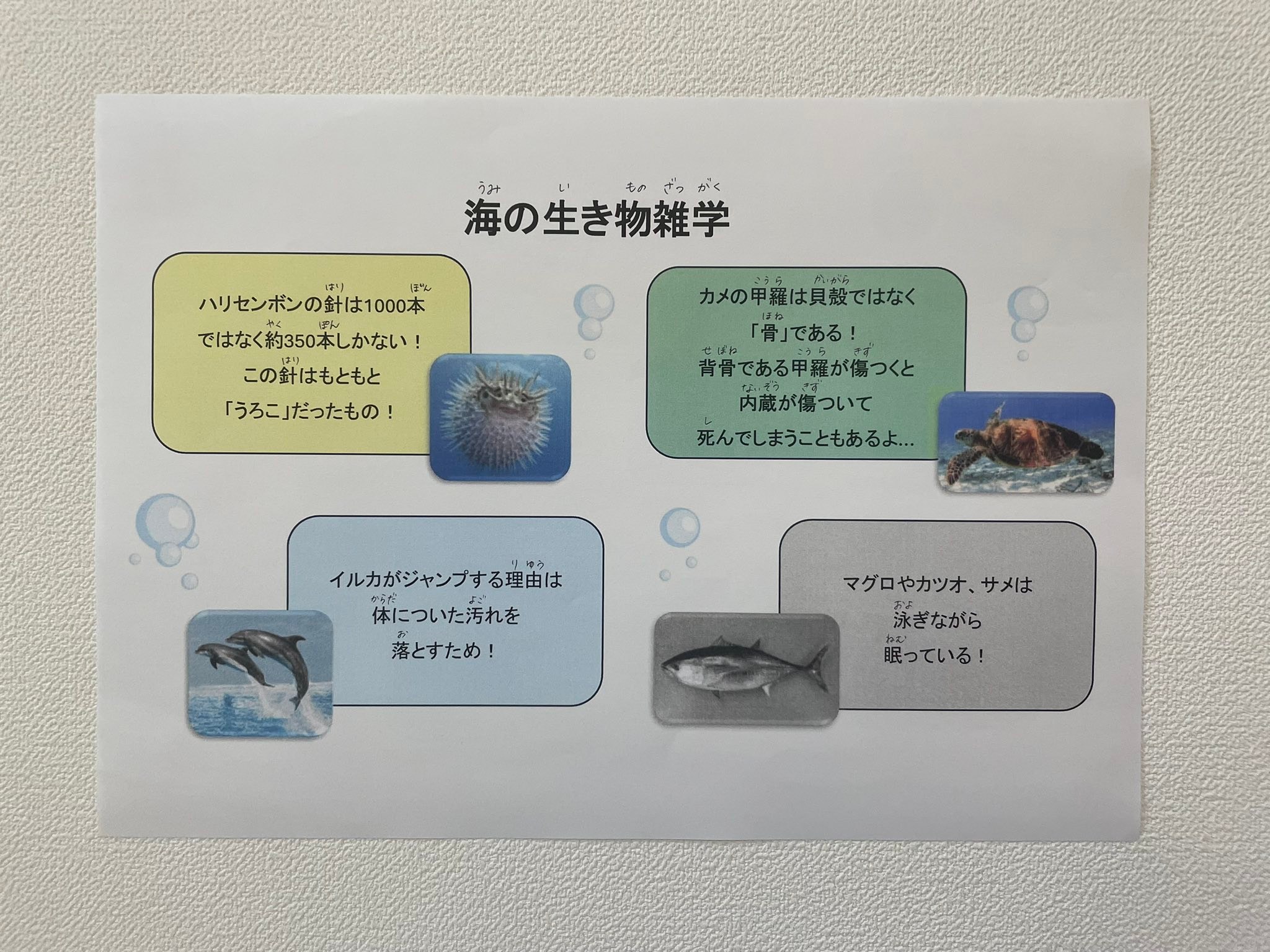 集団では、『ひらめき列車』というカードゲームをしました🚃 ルールは