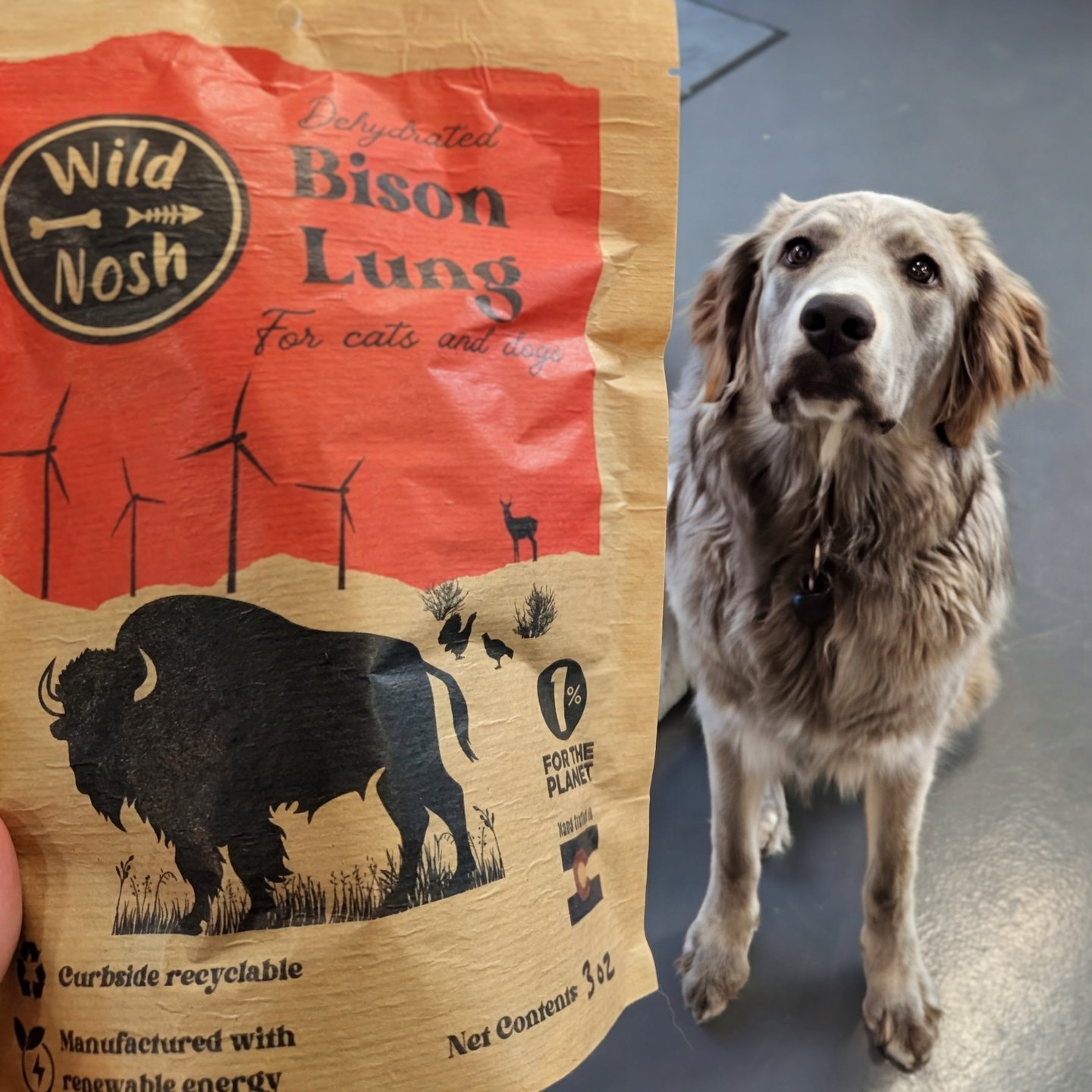 Wild Nosh Pets - Have you tried our Bison Lung treats... | Facebook