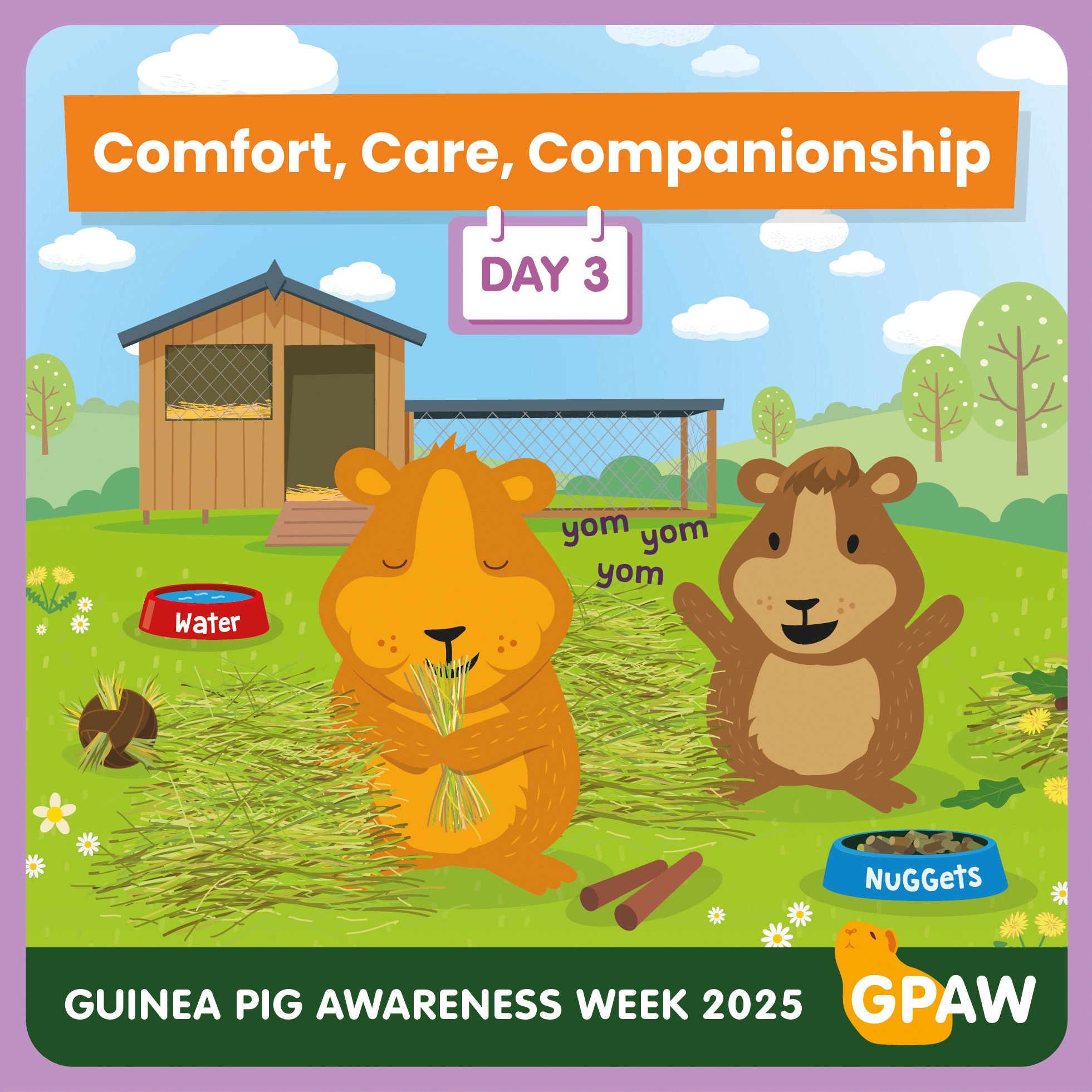 Portland - 🌟 It’s Day 3 of Guinea Pig Awareness Week 2025! 🌟 A healthy ... - Reduce Guinea Pig Food Waste And Reduce Stress