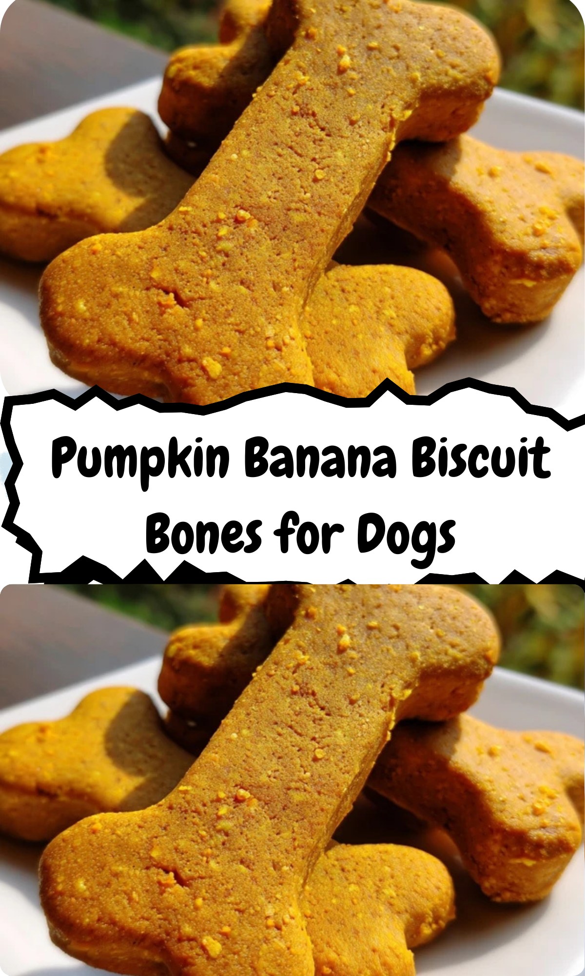 Fresh Look at Emma Johnson Pumpkin Banana Biscuit Bones For Dogs