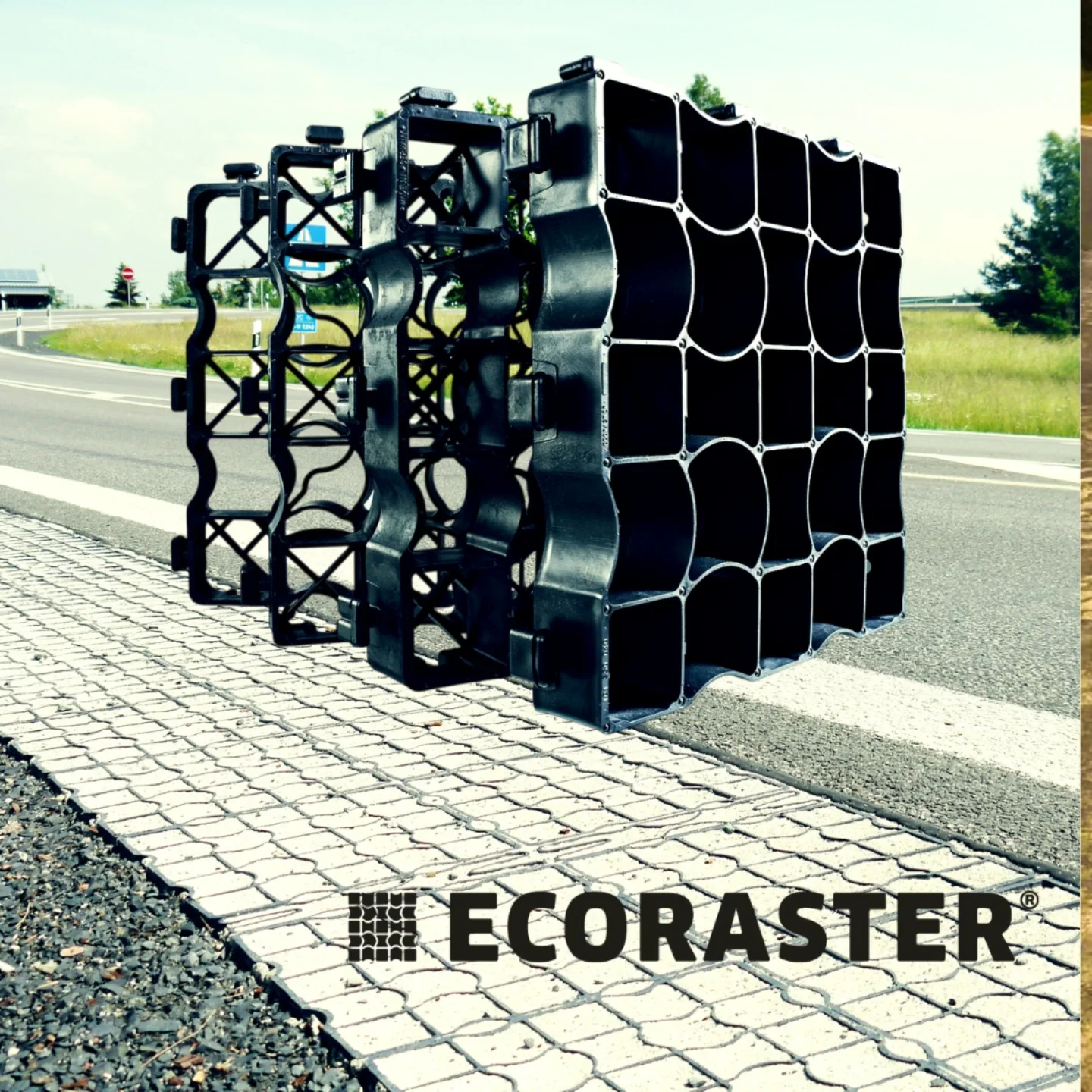 Ecoraster Panamá | Santiago