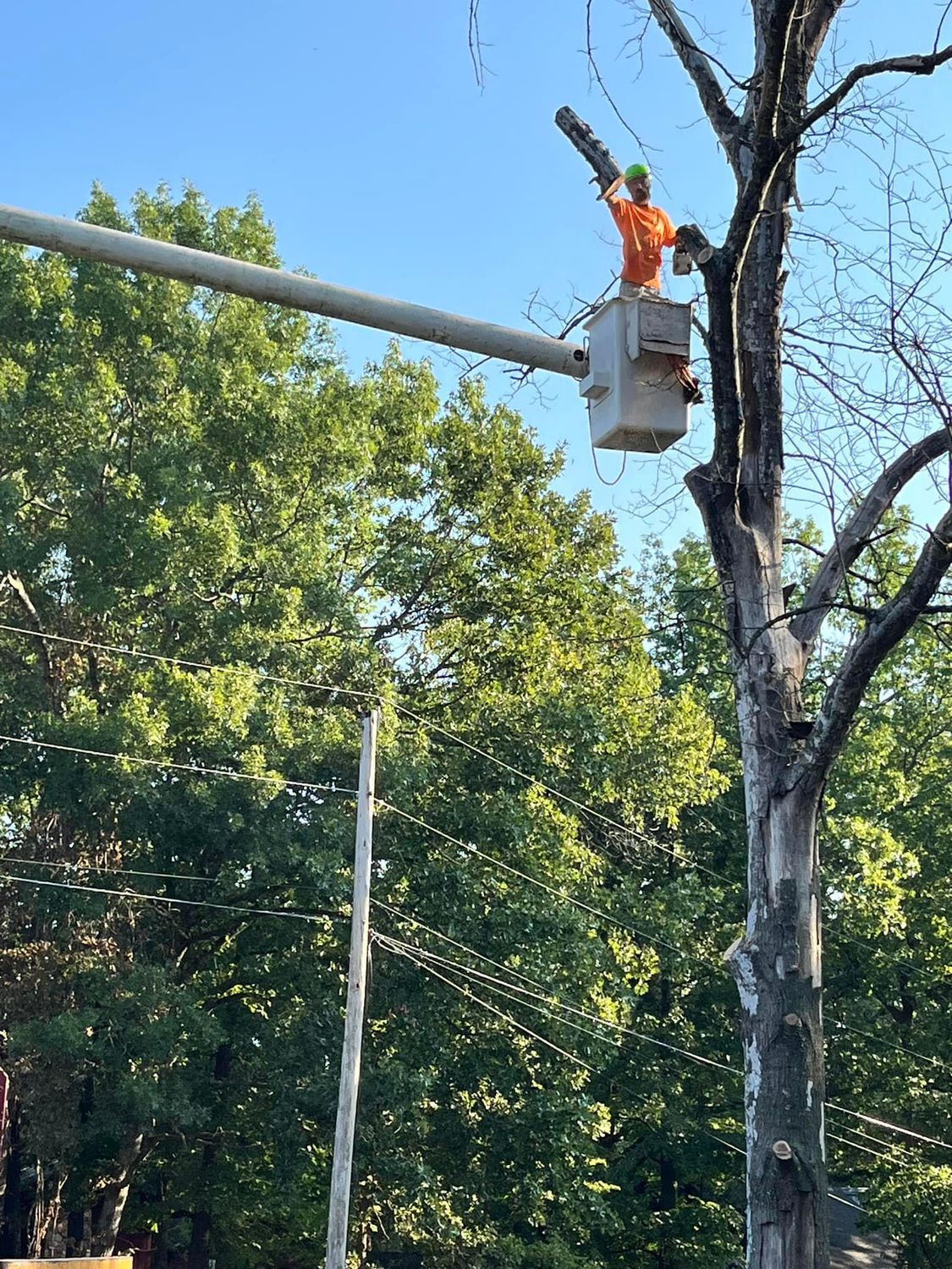 🔧 H n H Tree Service showcases... - H n H Tree Service | Facebook