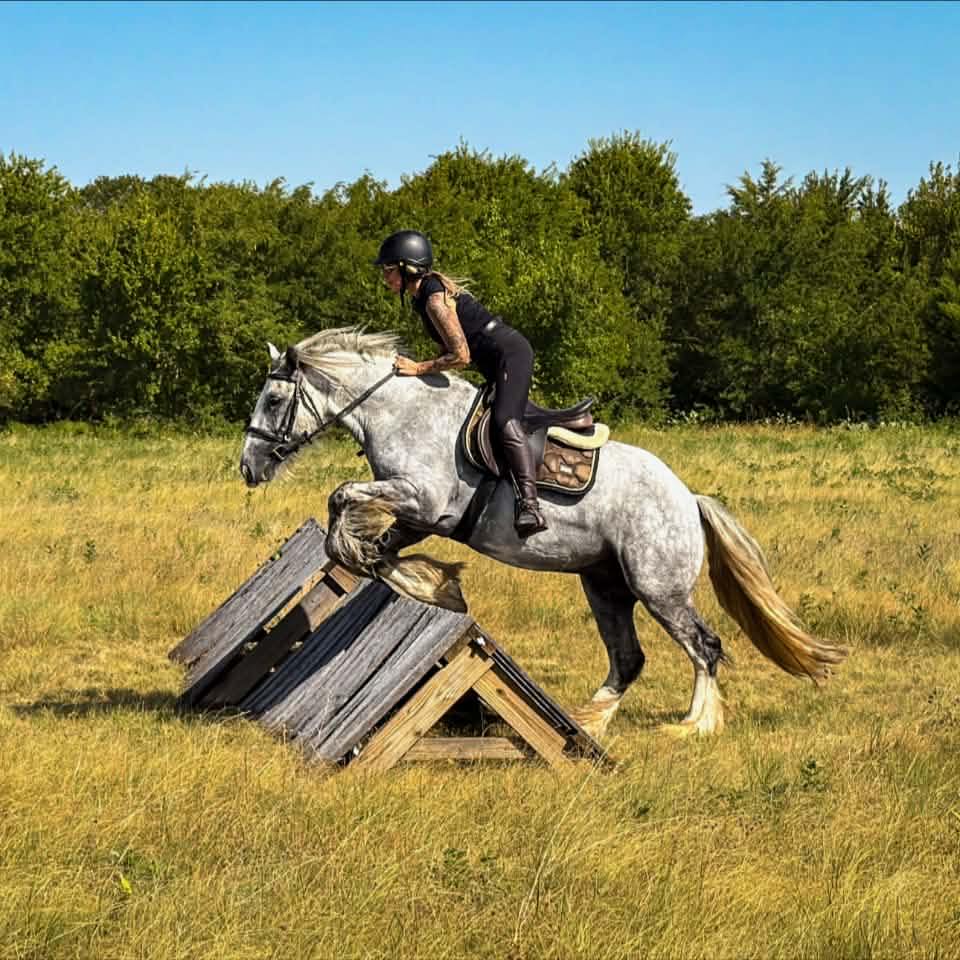 It’s clear that AMERICA loves a roan. Which color roan do you fancy? 🇺🇸 ...