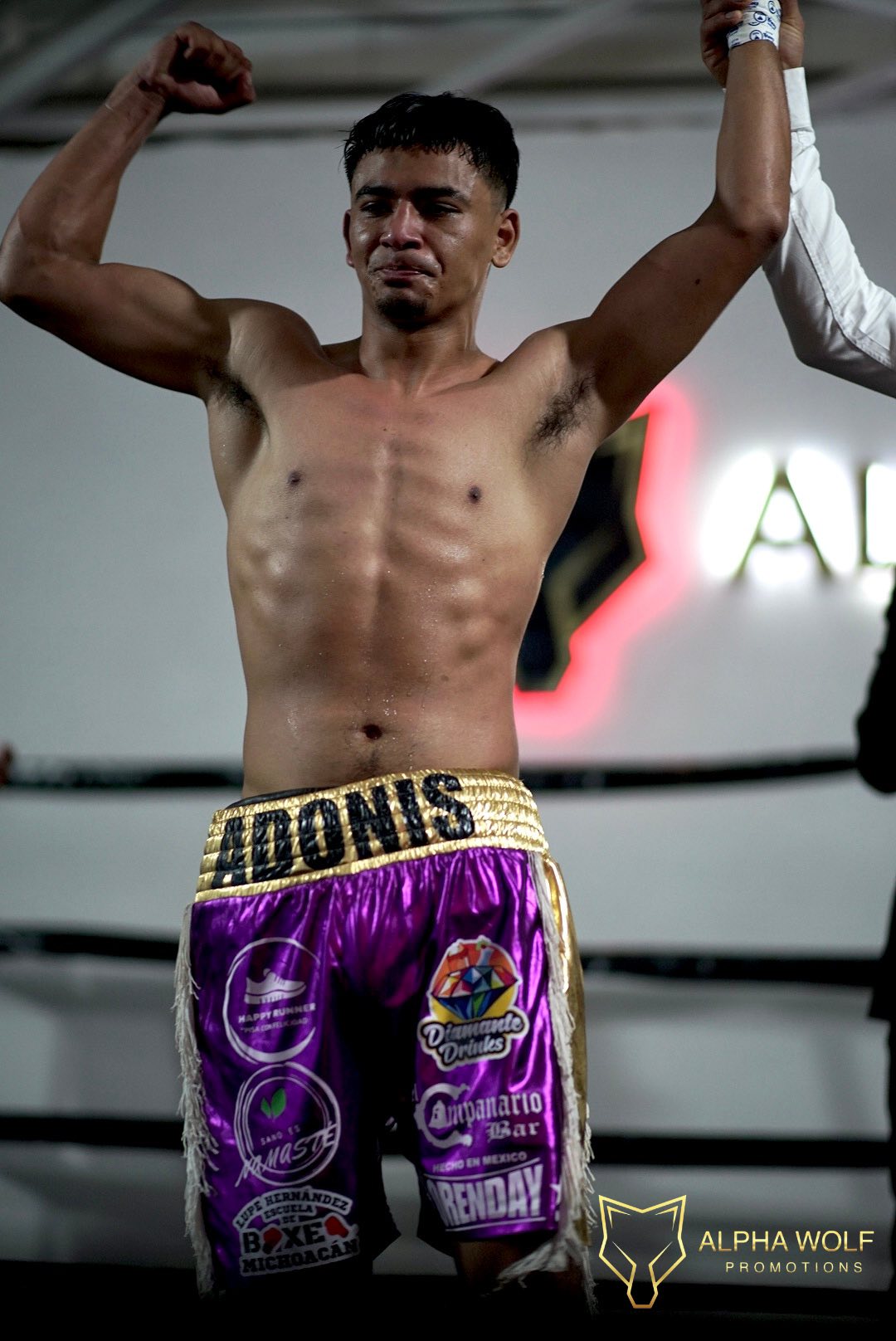 Alpha Wolf Promotions | Pátzcuaro