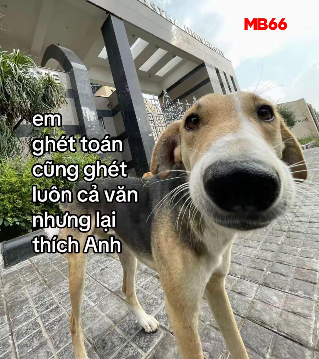 Heee. - Em... | Facebook