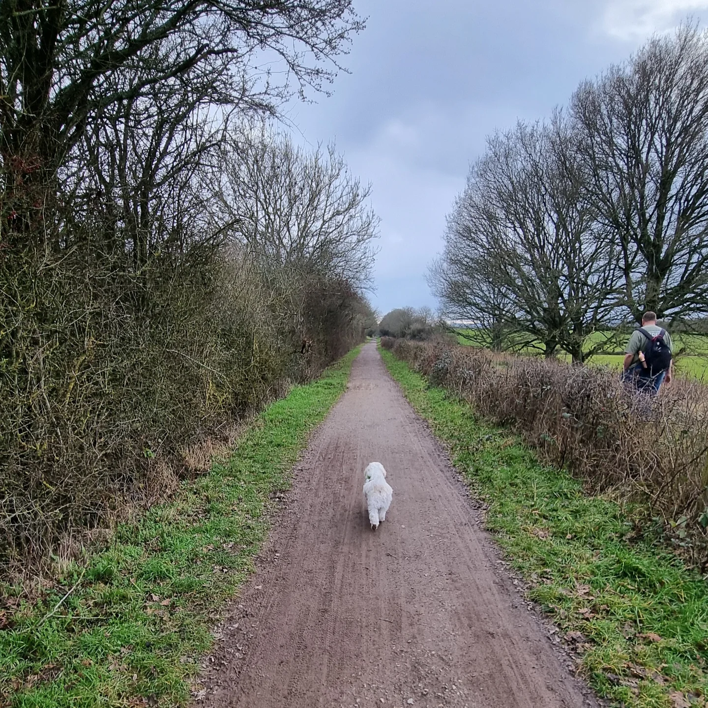 Out walking the line North of Needs... - Tracing the Rails | Facebook