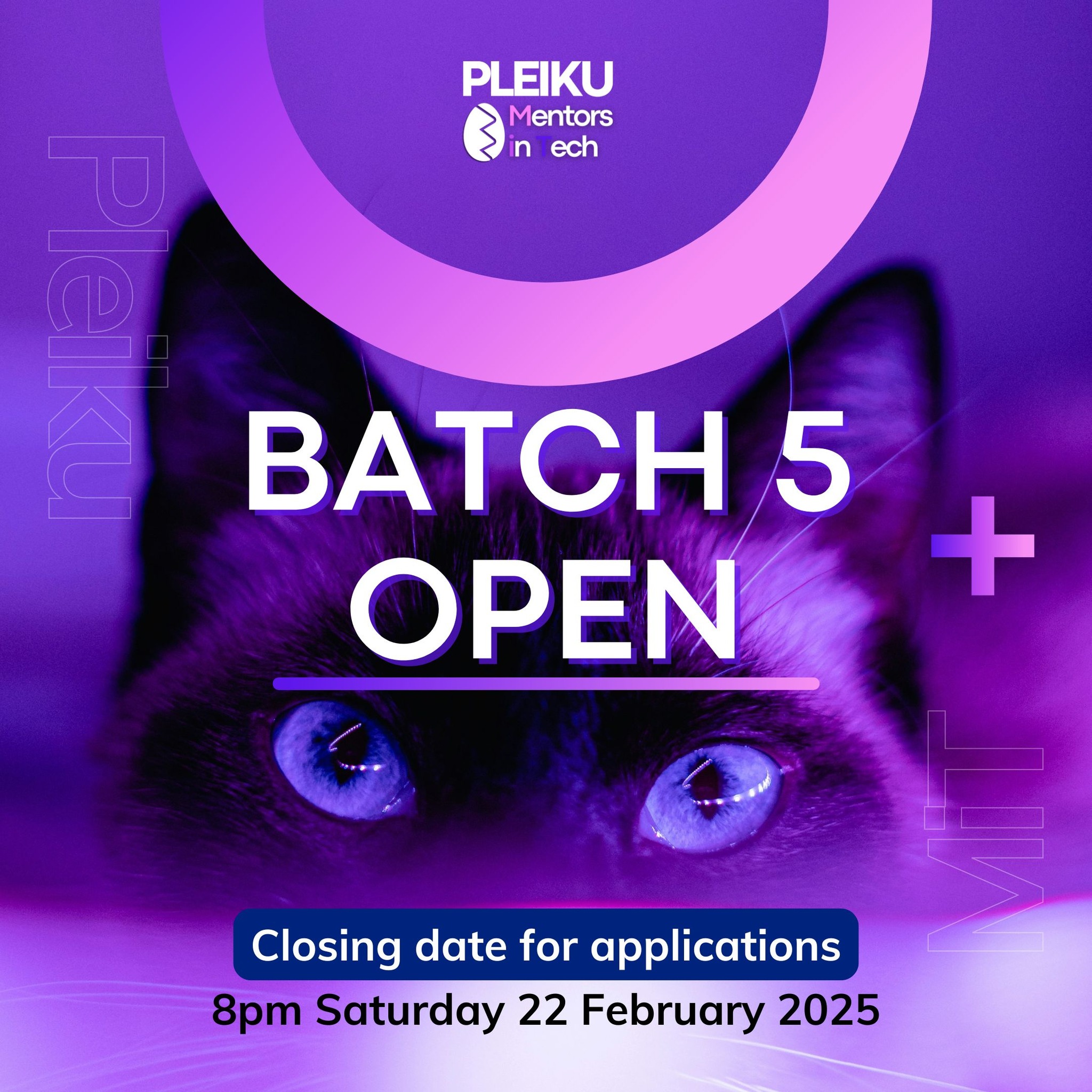 Pleiku Mentors in Tech | Pleiku