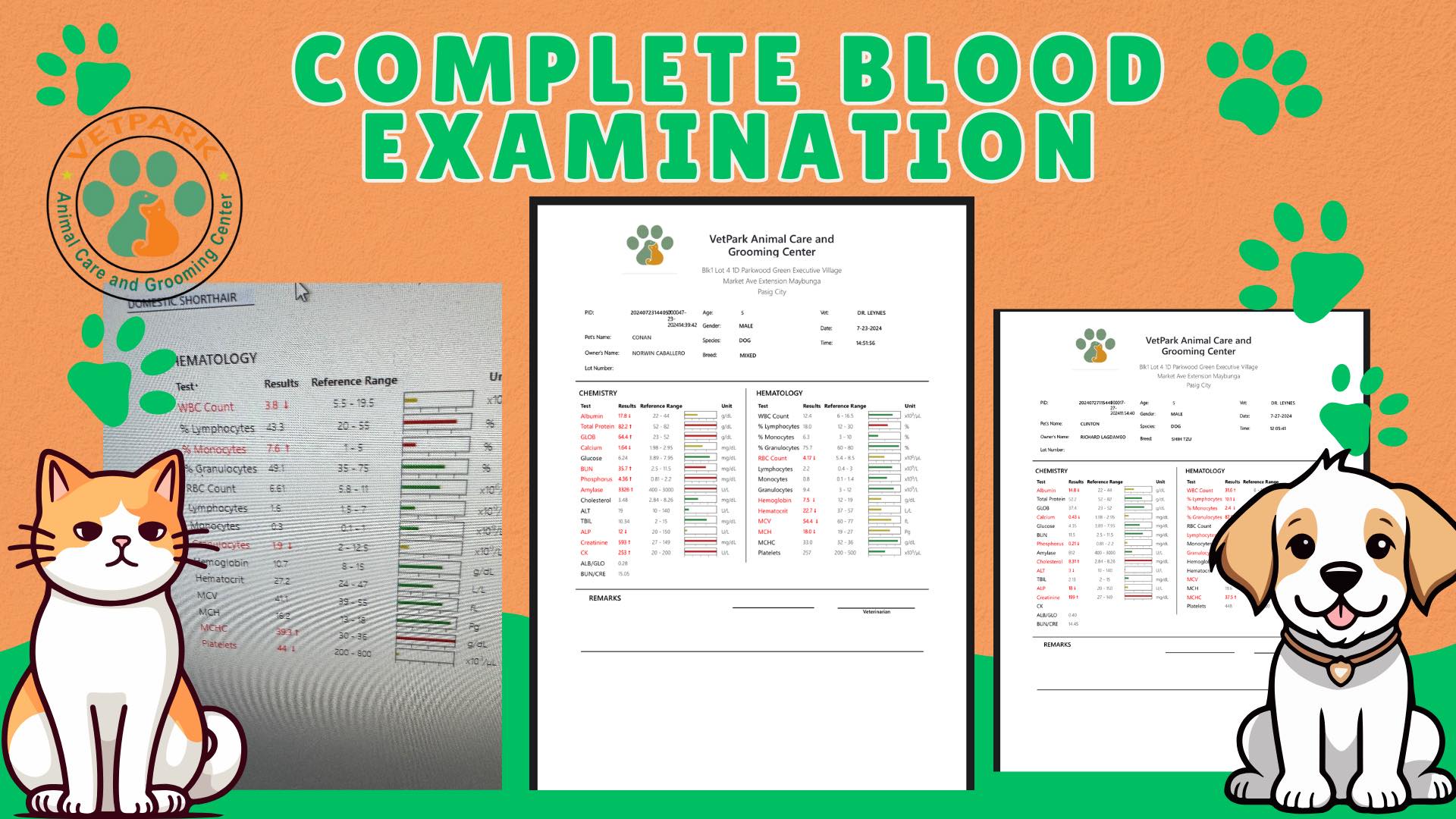 VetPark - COMPREHENSIVE BLOOD TEST WHY IT IS IMPORTANT FOR OUR ...