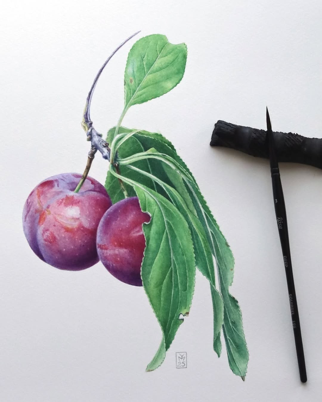 Easy - watercolor painting of plums on a branch with green leaves, . # ...