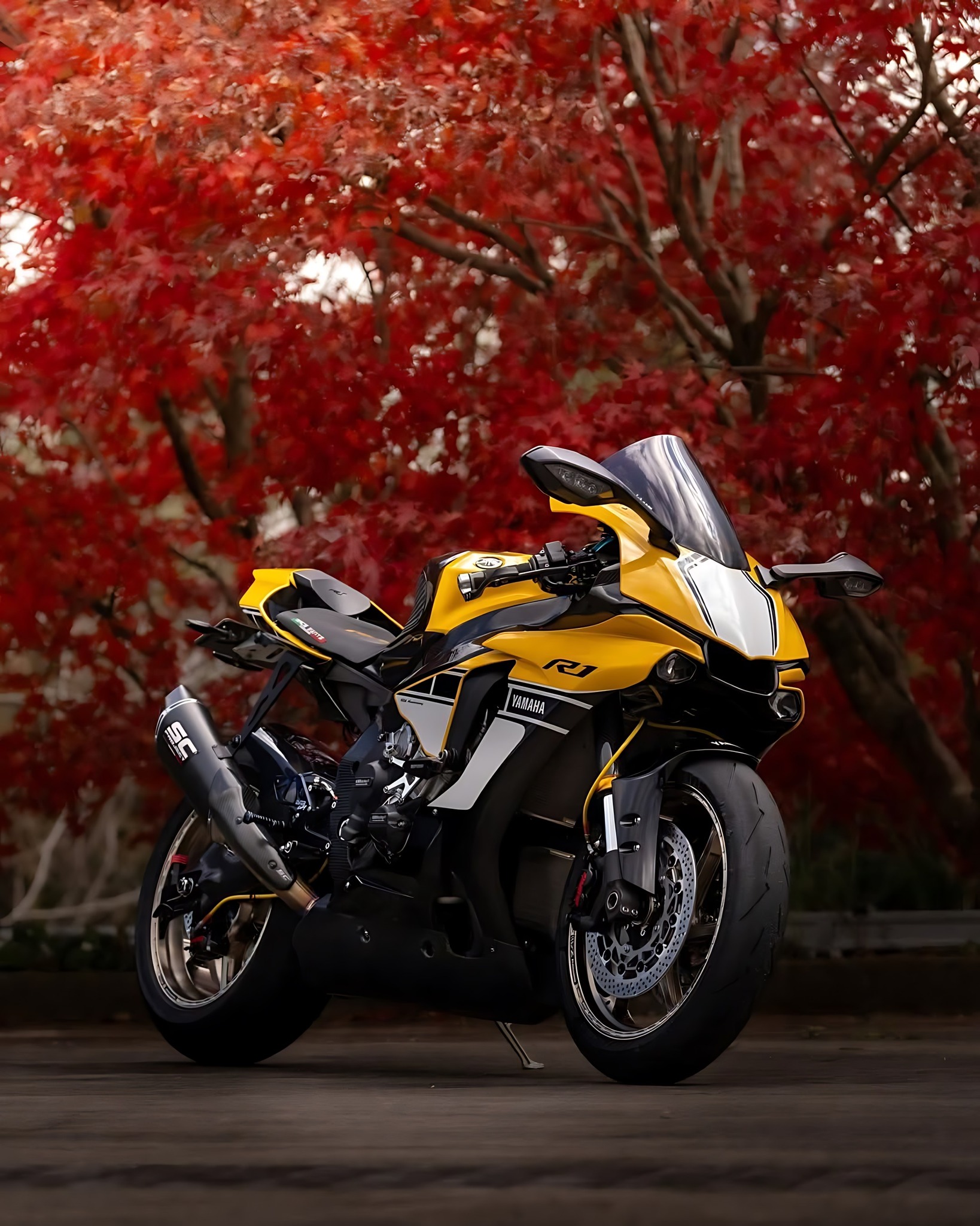 Yamaha YZF R1 supersport motorcycle available