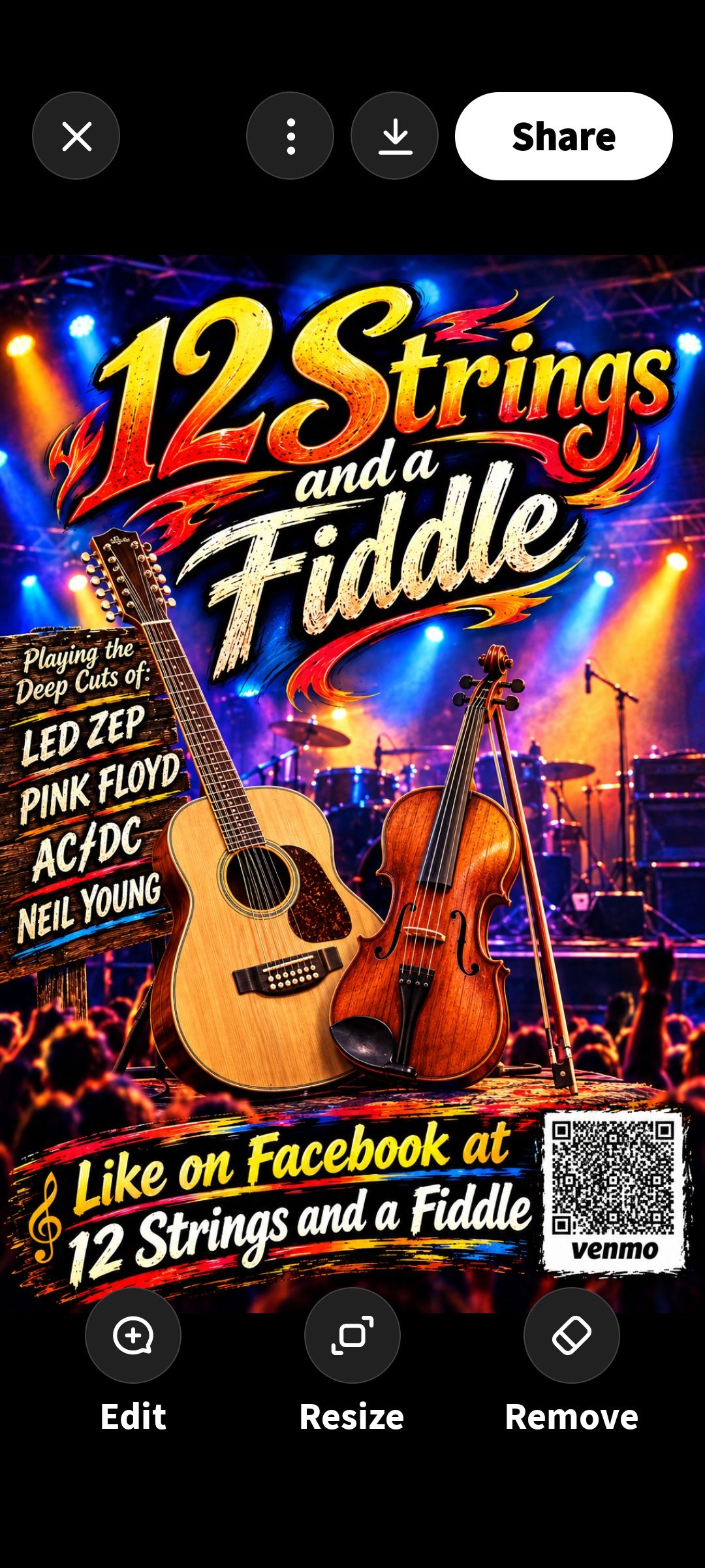 12 Strings and a Fiddle