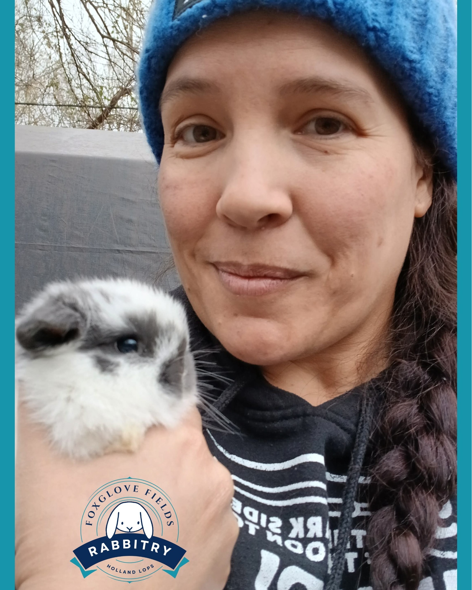 Foxglove - If a baby bunny doesn't make you melt, I have serious ...