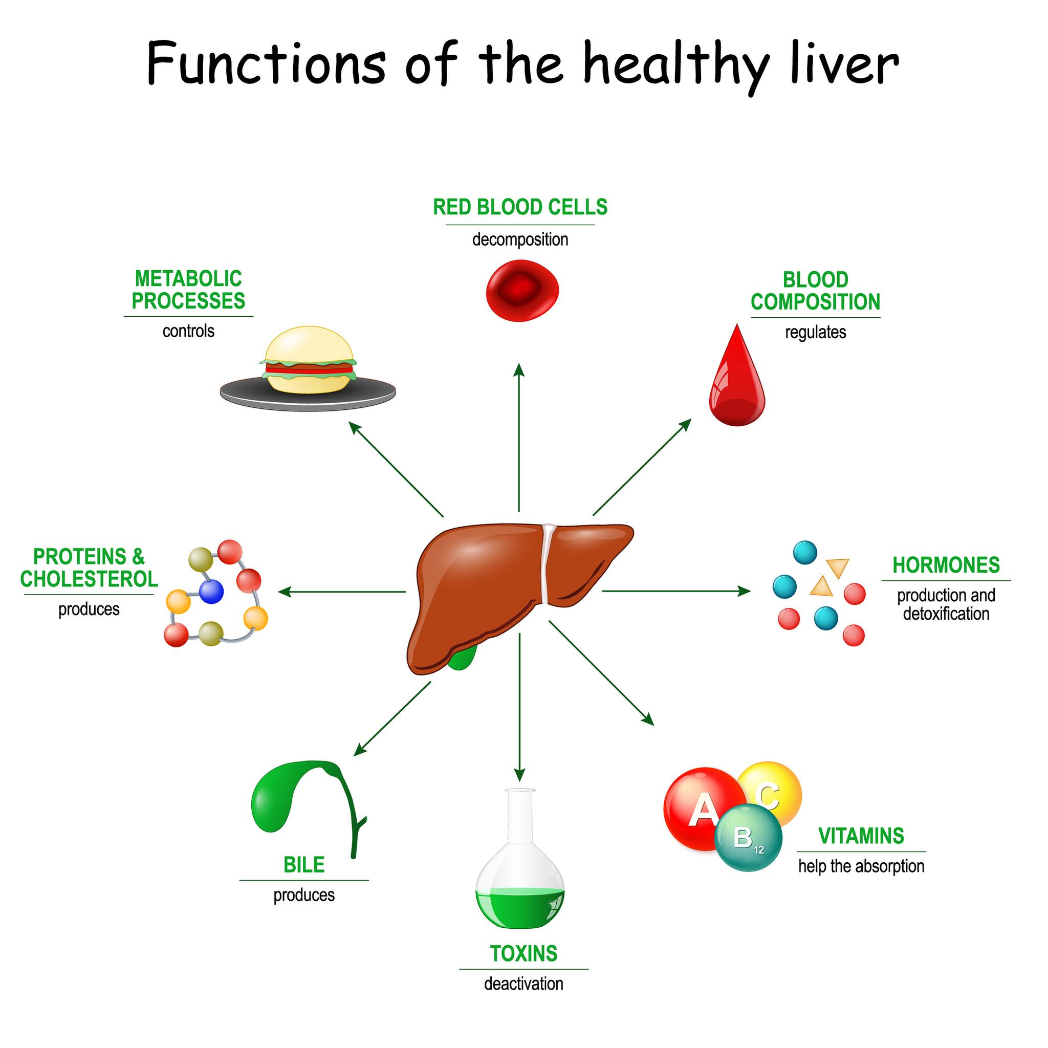 glutathione alcohol liver webmd How to keep your healthy and prevent liver disease palmitic acid coffee