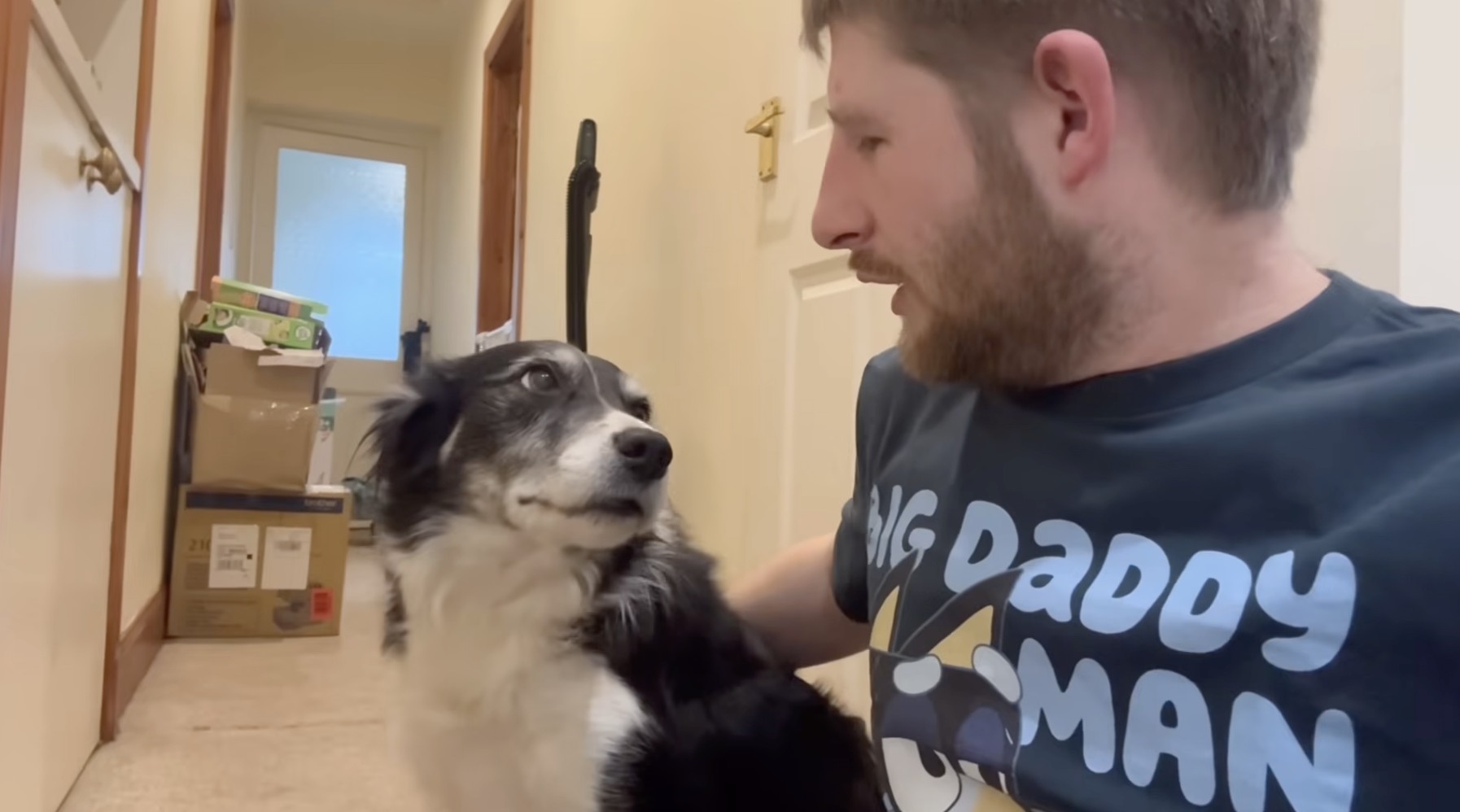 Sean - This look speaks so much 🥹 #bordercollie | Facebook