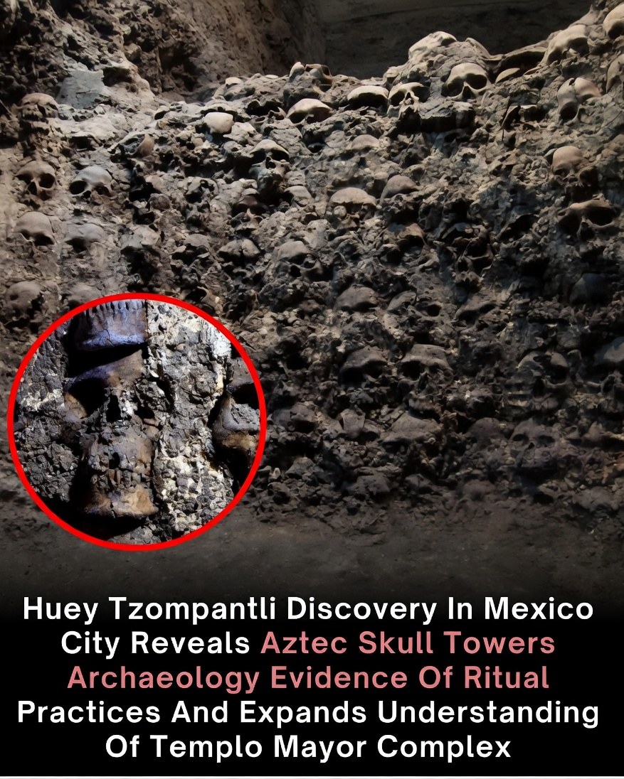 Aztec skull rack discovery in Mexico City