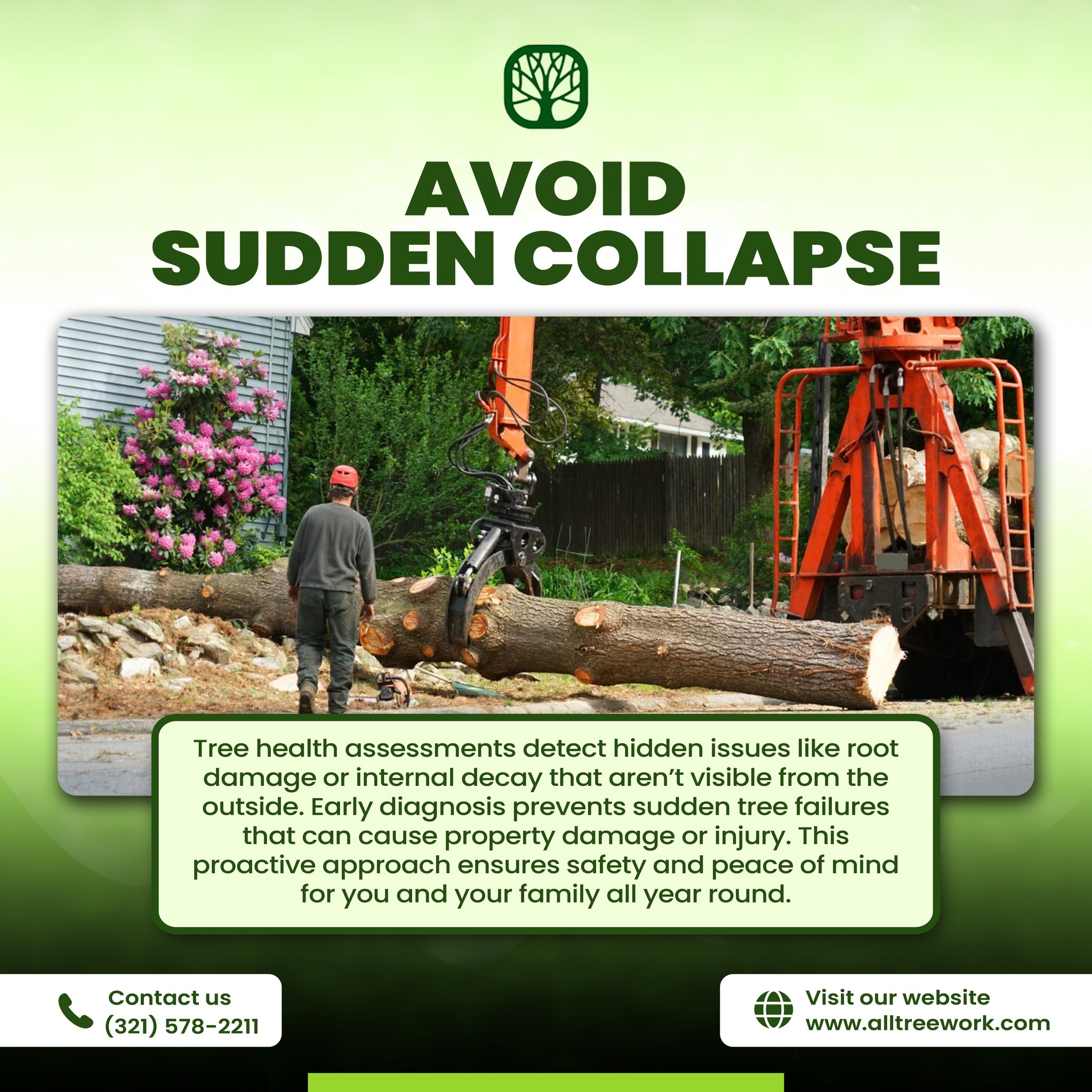ALL TREE WORK | Lake Mary FL
