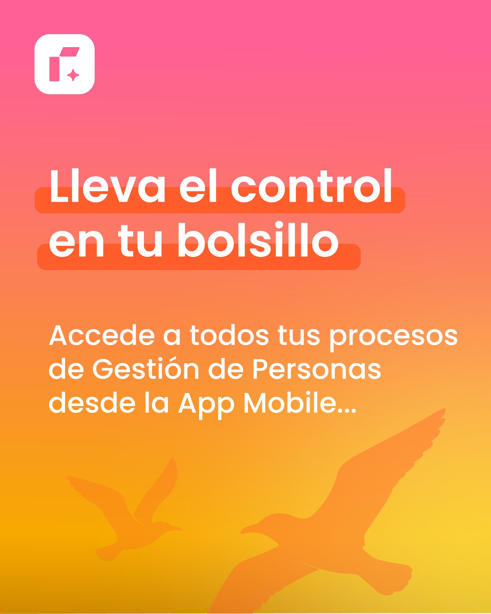 Rankmi Oficial