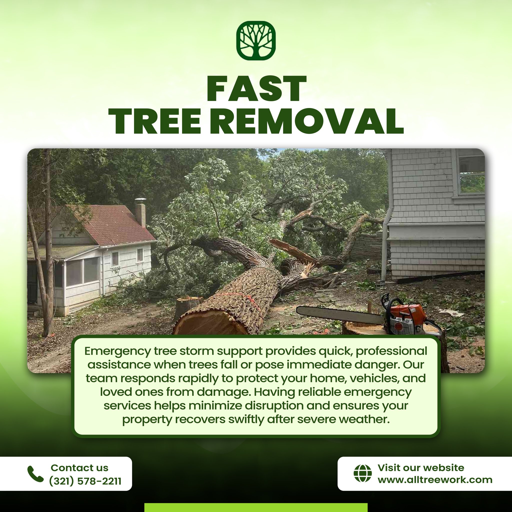 ALL TREE WORK | Lake Mary FL