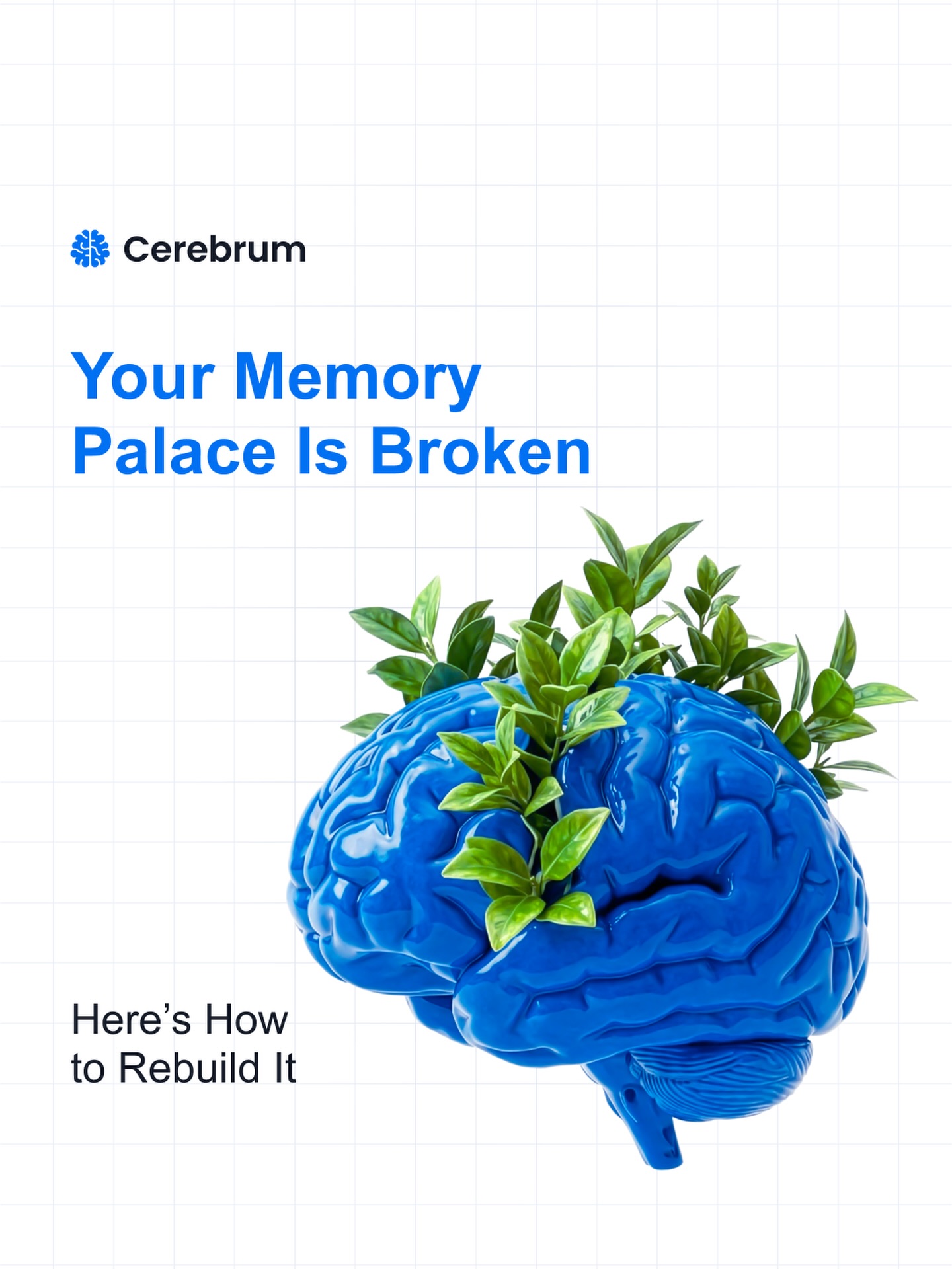 Cerebrum IQ - Your memory palace is broken. Here’s how to... | Facebook
