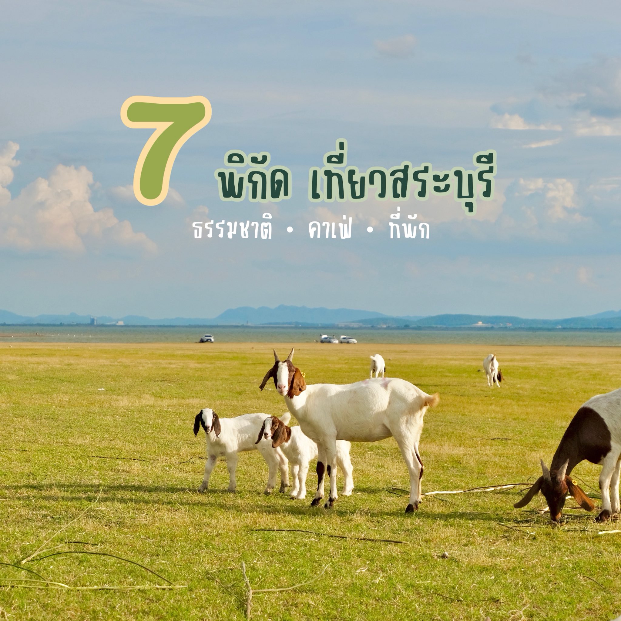 กิน เที่ยว กับ จี้... - กิน เที่ยว กับ จี้ Kin Tiew Kub Jee