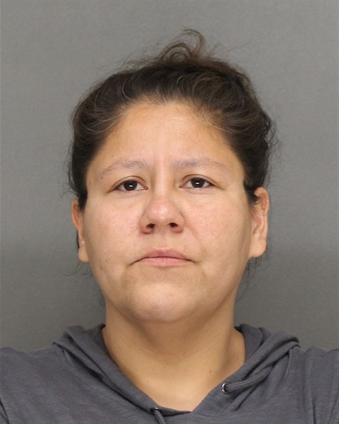 Brown - LESLIE LOUISE PENASS * Probation Violation (F) | Facebook