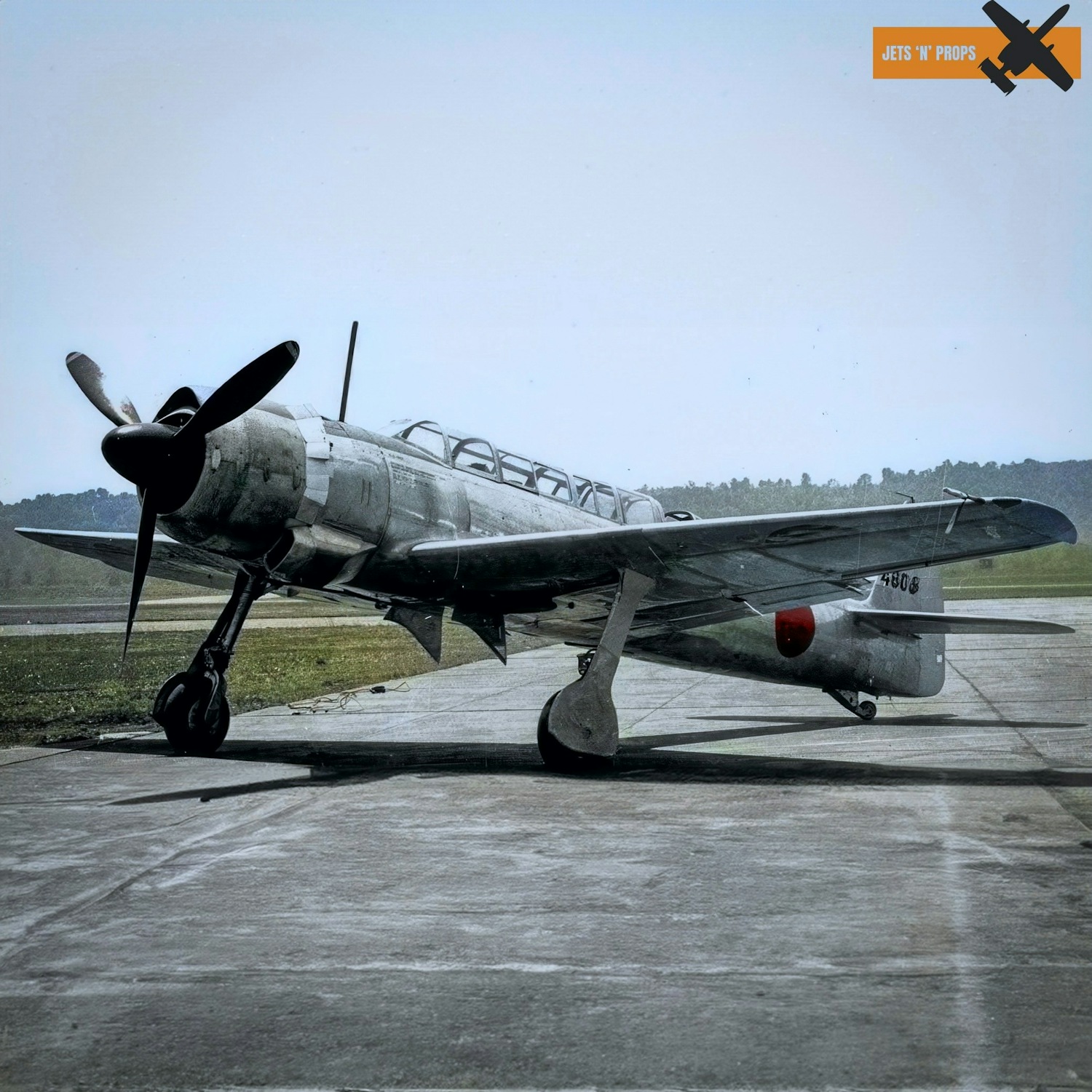 Imperial Japanese Navy Nakajima C6N1 Saiun (