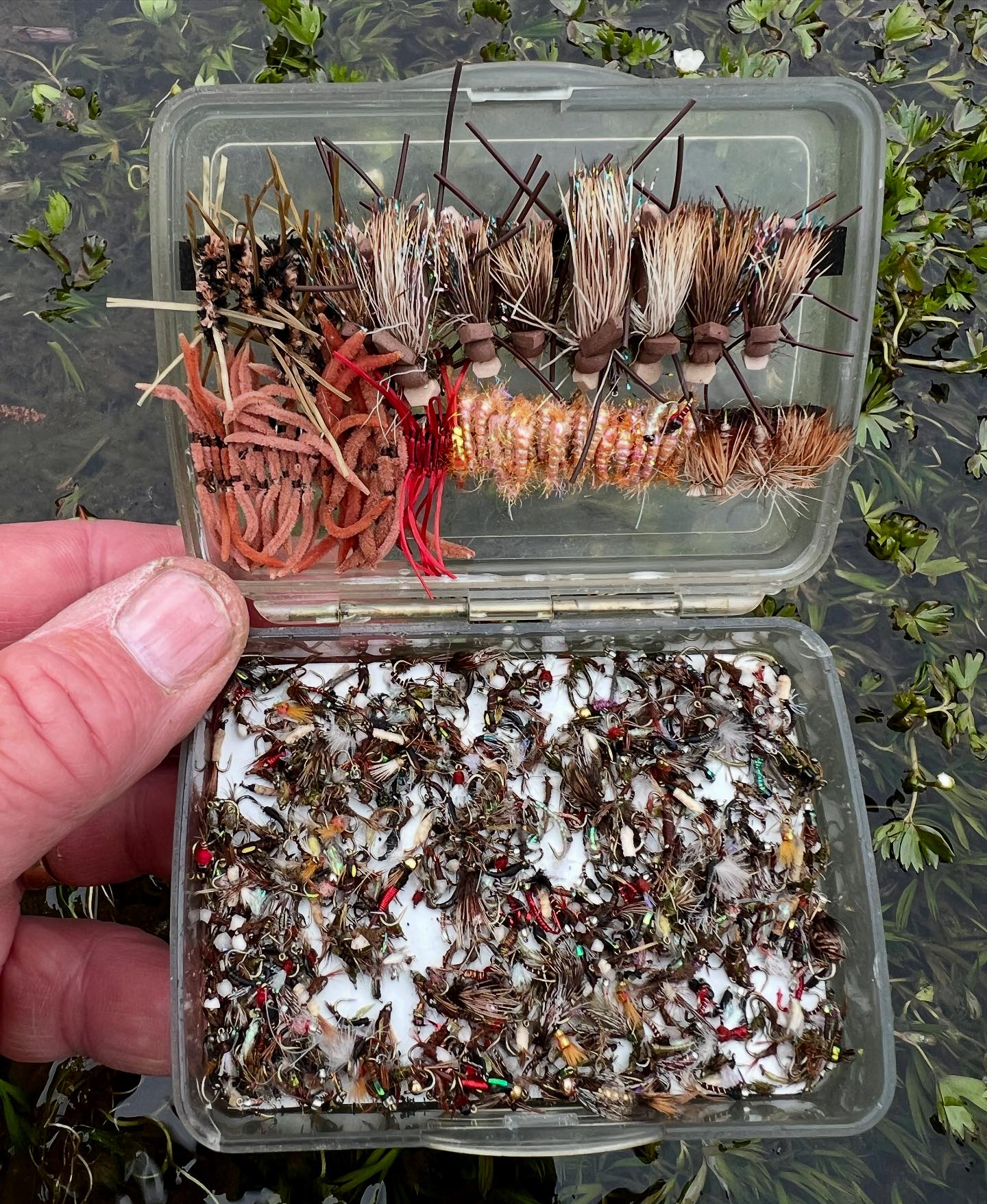 Pat - It’s that time of year again…snip off my guide-rigs and deal with ...