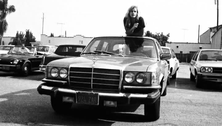 Wild - In the late 1970s, David Lee Roth, the iconic frontman of Van ...