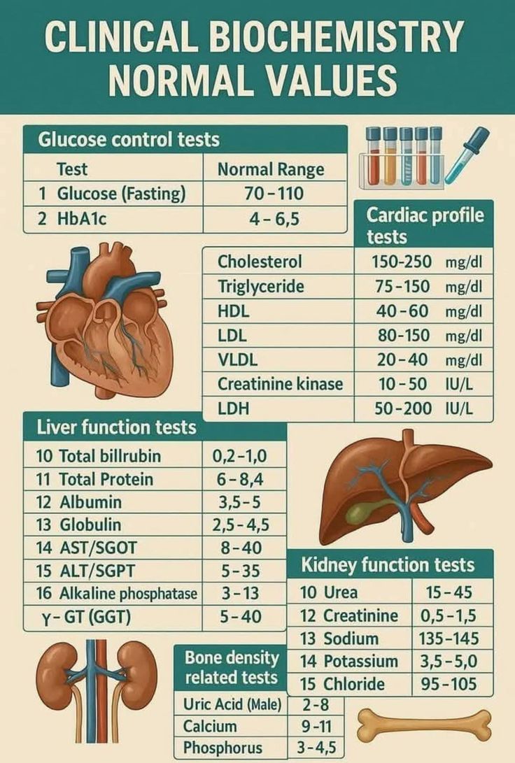 doctor's data glutathione erythrocytes reference range normal clinical biochemistry values for diagnosis Choose the quantity:1 Item Labovit-12 at best price APLB Glutathione Niacinamide Body Wash 300ml