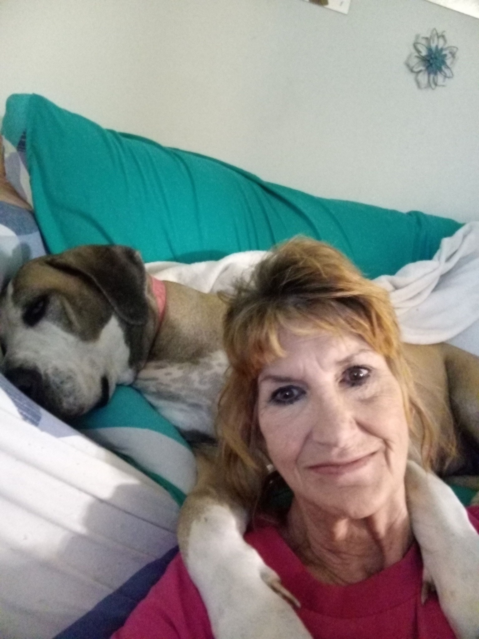 Tracy Riddle - Snoozing and hugging me while I painted my... | Facebook