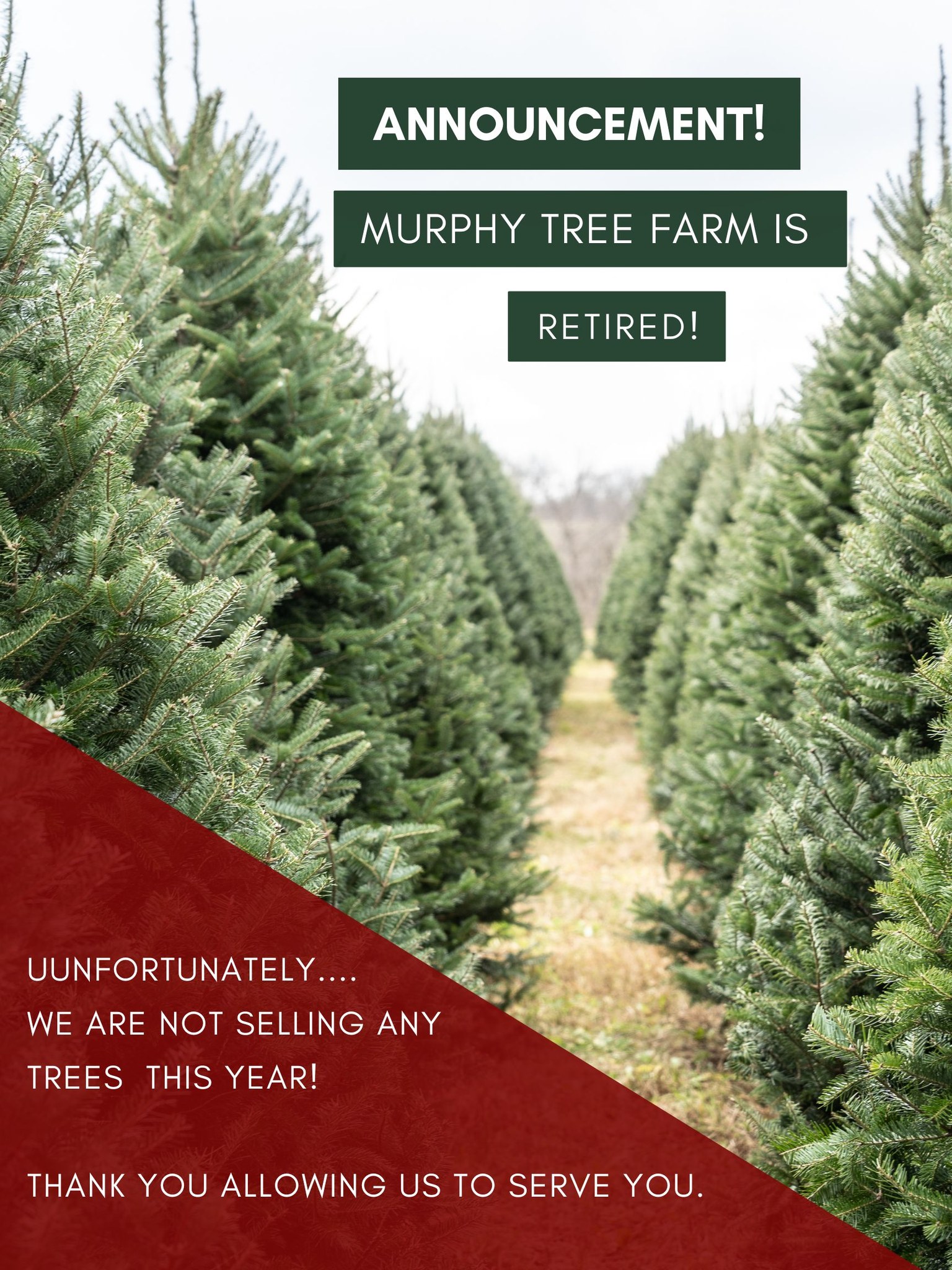 Murphy Tree Farm