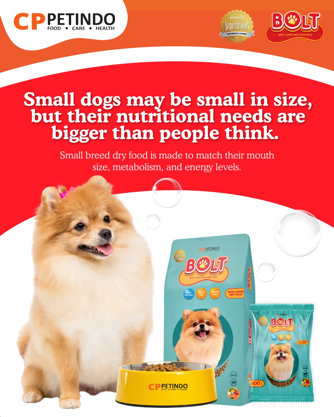 Small dogs need nutrition that... - Bolt Pet Food Philippines | Facebook