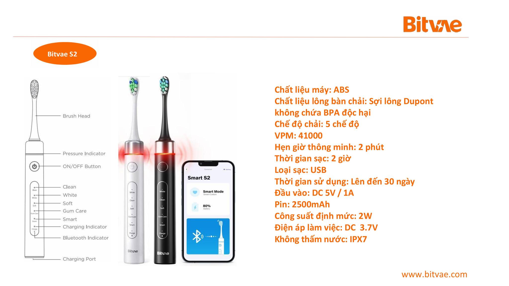 Bitvae Việt Nam - Chăm Sóc Răng Miệng Thông Minh