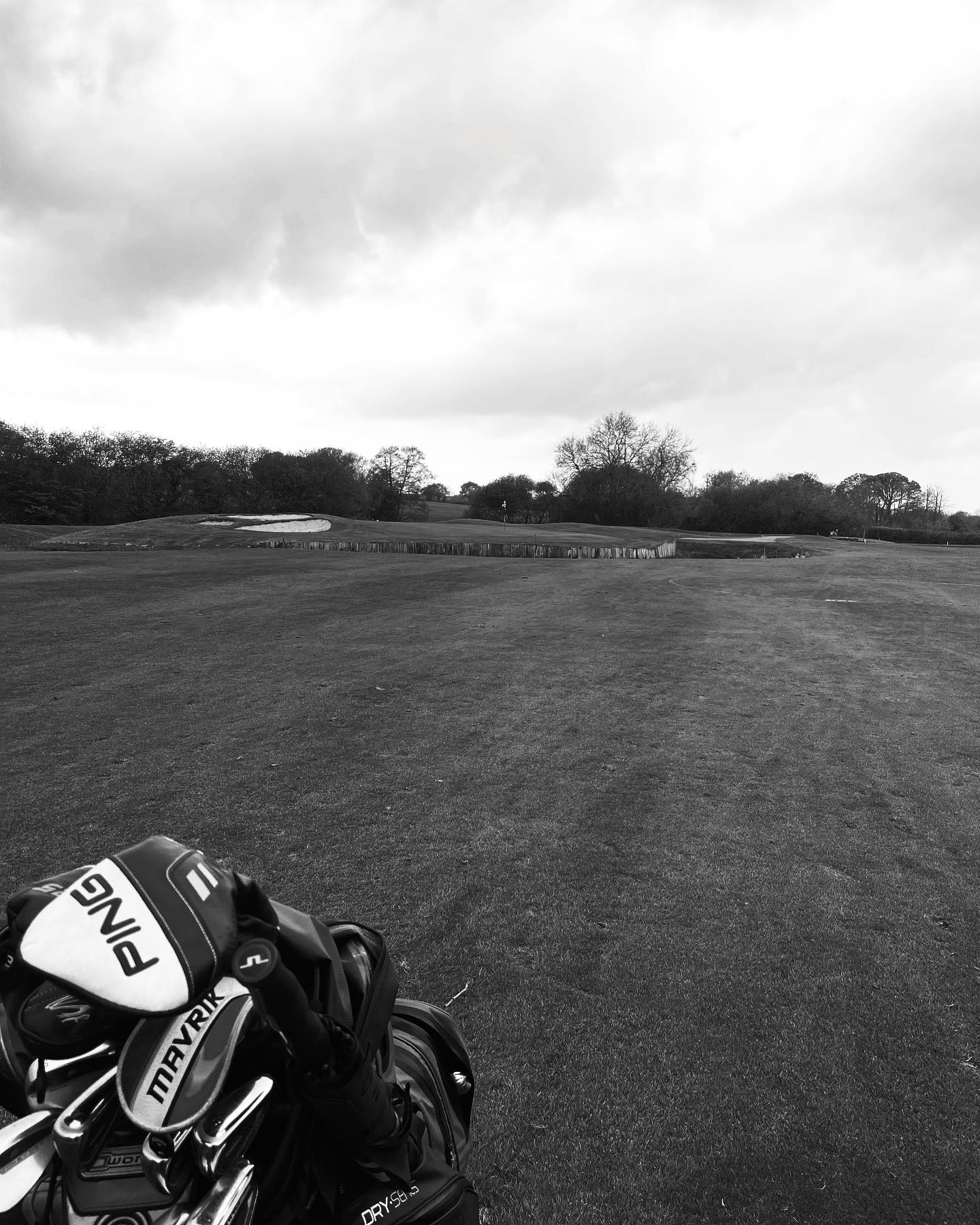 FOCUSGOLF