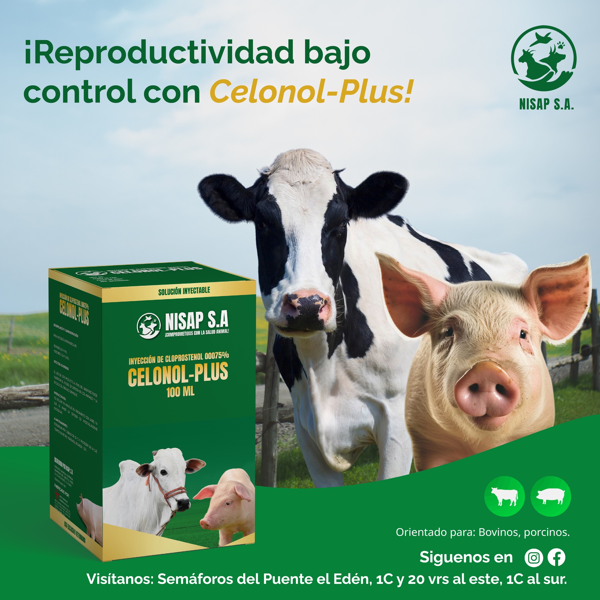 NISAP - 🐄🐖 ¡Reproductividad bajo control con Celonol Plus! En NISAP te ...