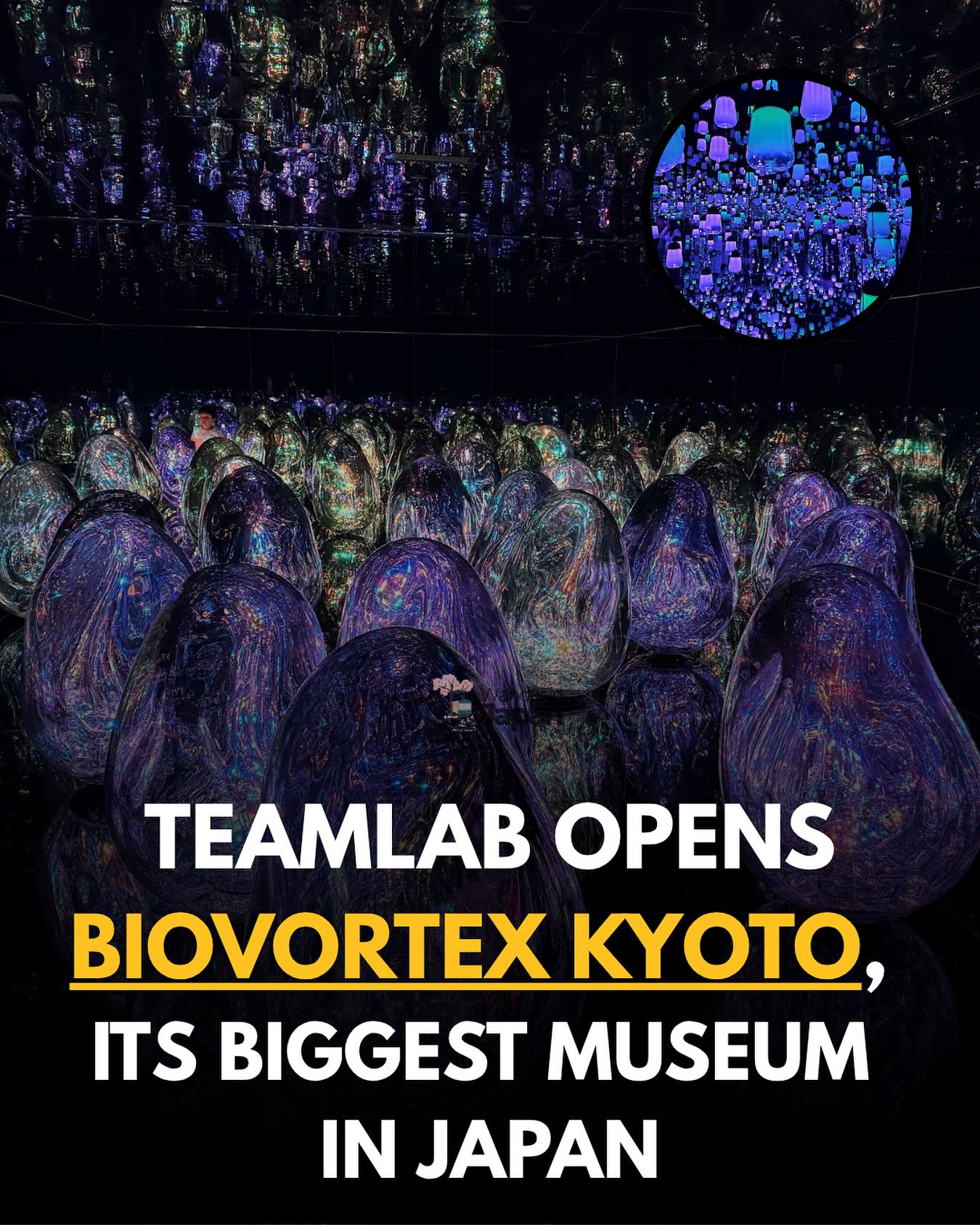 Wander - Step inside teamLab Biovortex Kyoto, the new and biggest ...