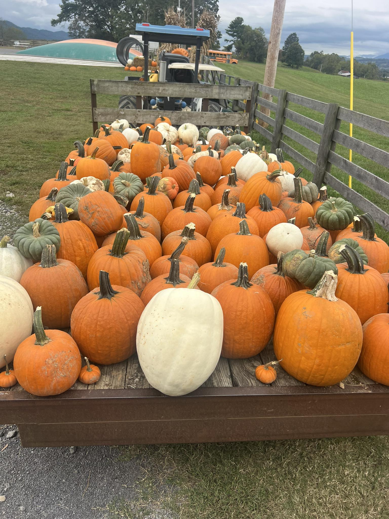 Arrow B Ranch, LLC | Jonesville VA