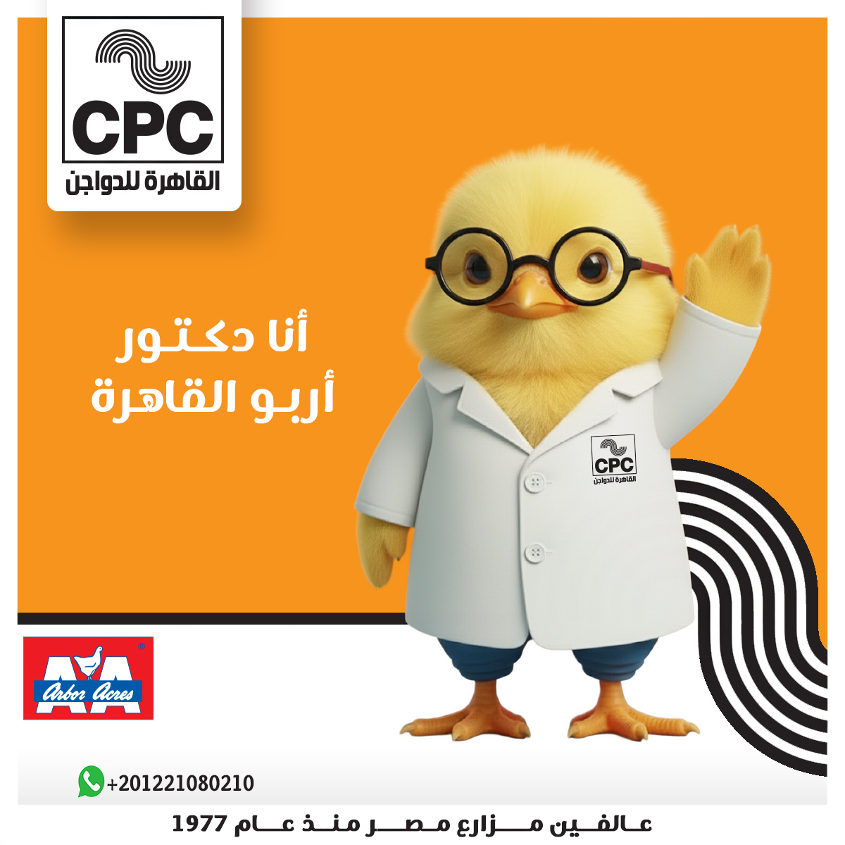 Cairo Poultry - القاهرة للدواجن