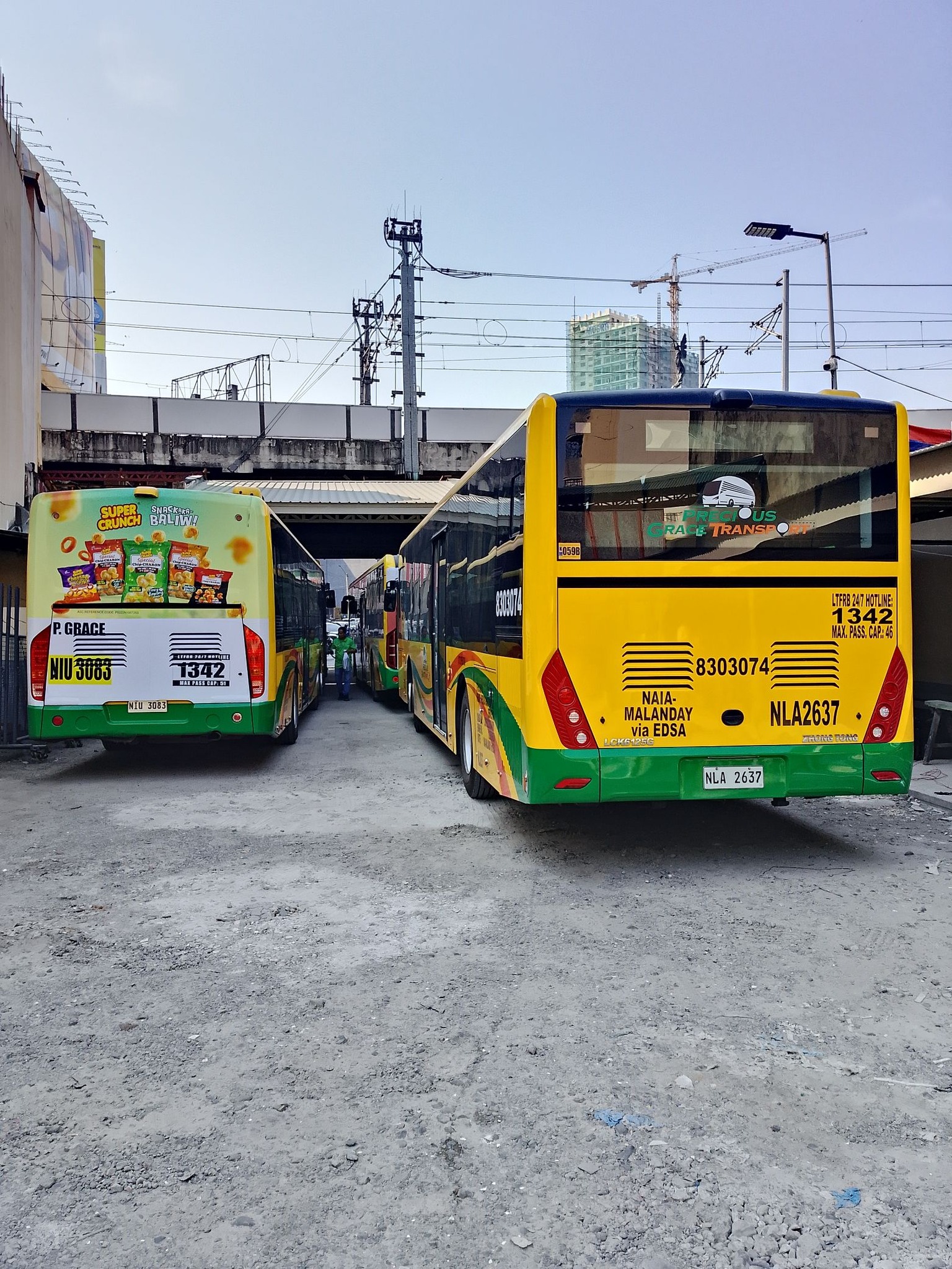 Successor to Zhongtong LCK6970G Buses in Hong Kong