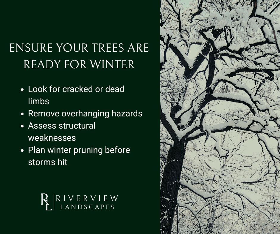 Riverview - Heavy snow and ice can weigh down weak branches fast. A ...