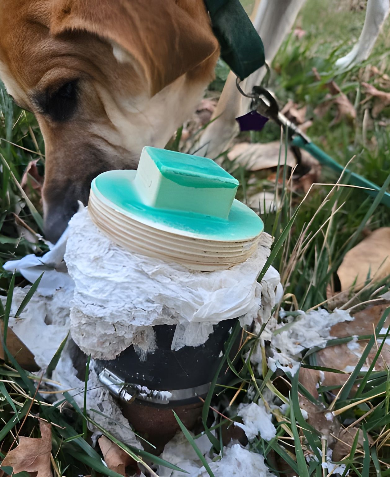 replumb - What is this pipe, and why does it look like paper is coming ...