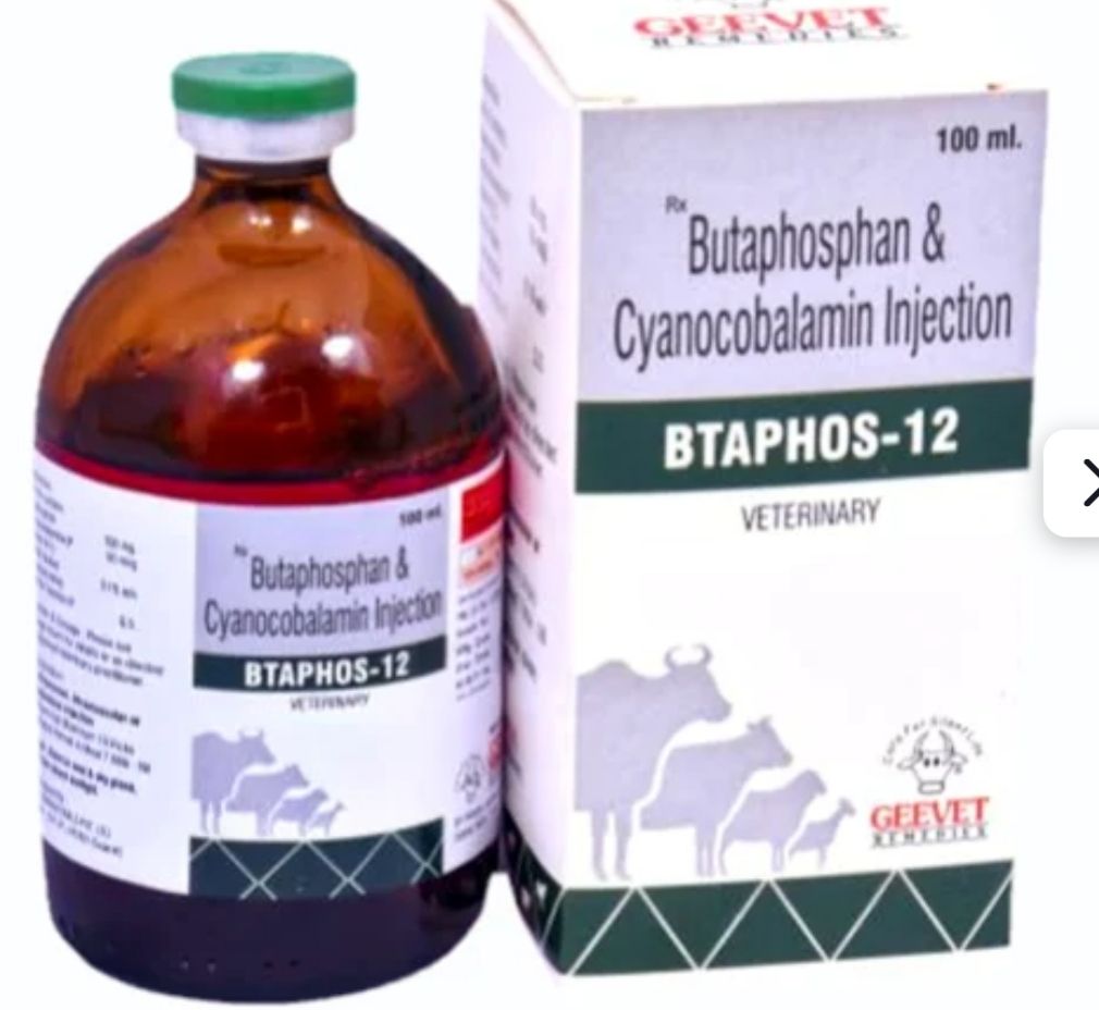 Butaphosphan and cyanocobalamin injection is a veterinary metabolic stimulant and tonic used to treat phosphorus and vitamin B12 deficiencies, boost immunity, and improve energy metabolism in animals.Key Uses in Animals livestock (