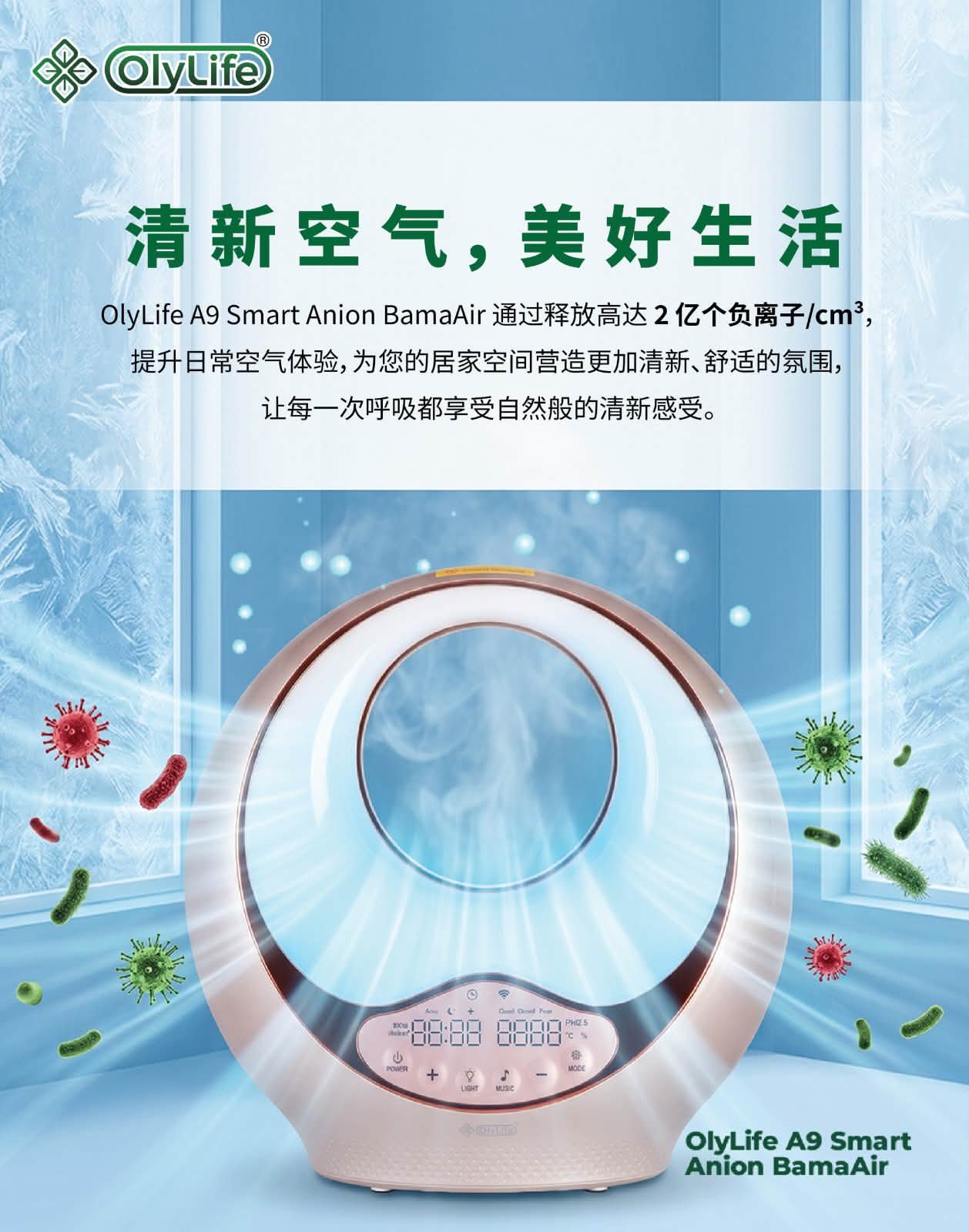 Olylife International - Olylife International 125奥林生活