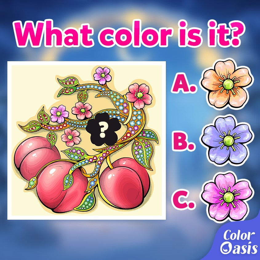 Color Oasis